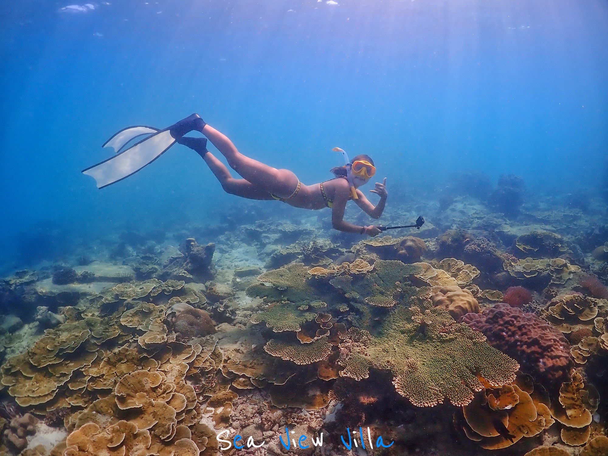 芭提雅至尼莫岛私人半日游