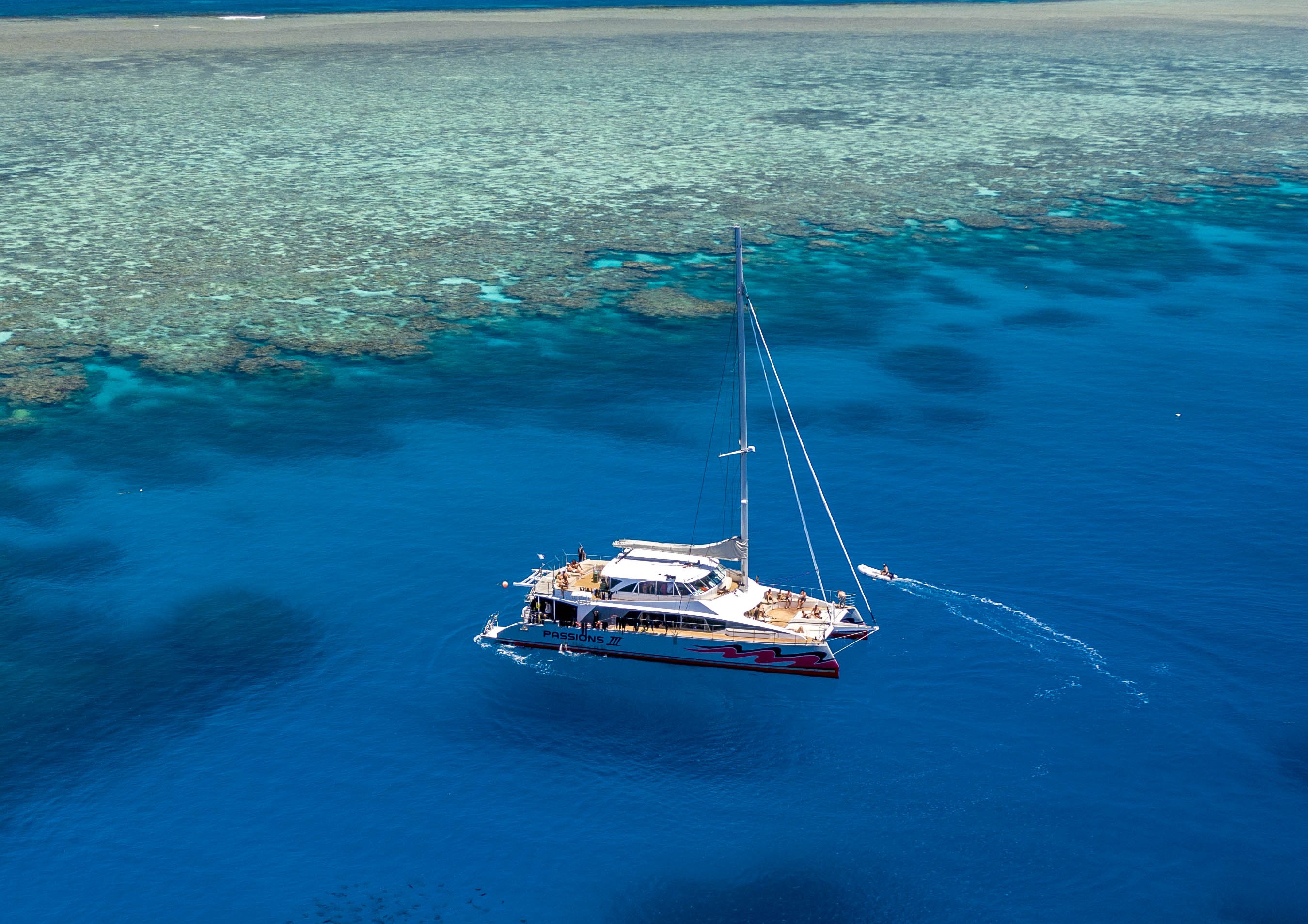 大堡礁浮潜／潜水一日游（凯恩斯出发）
