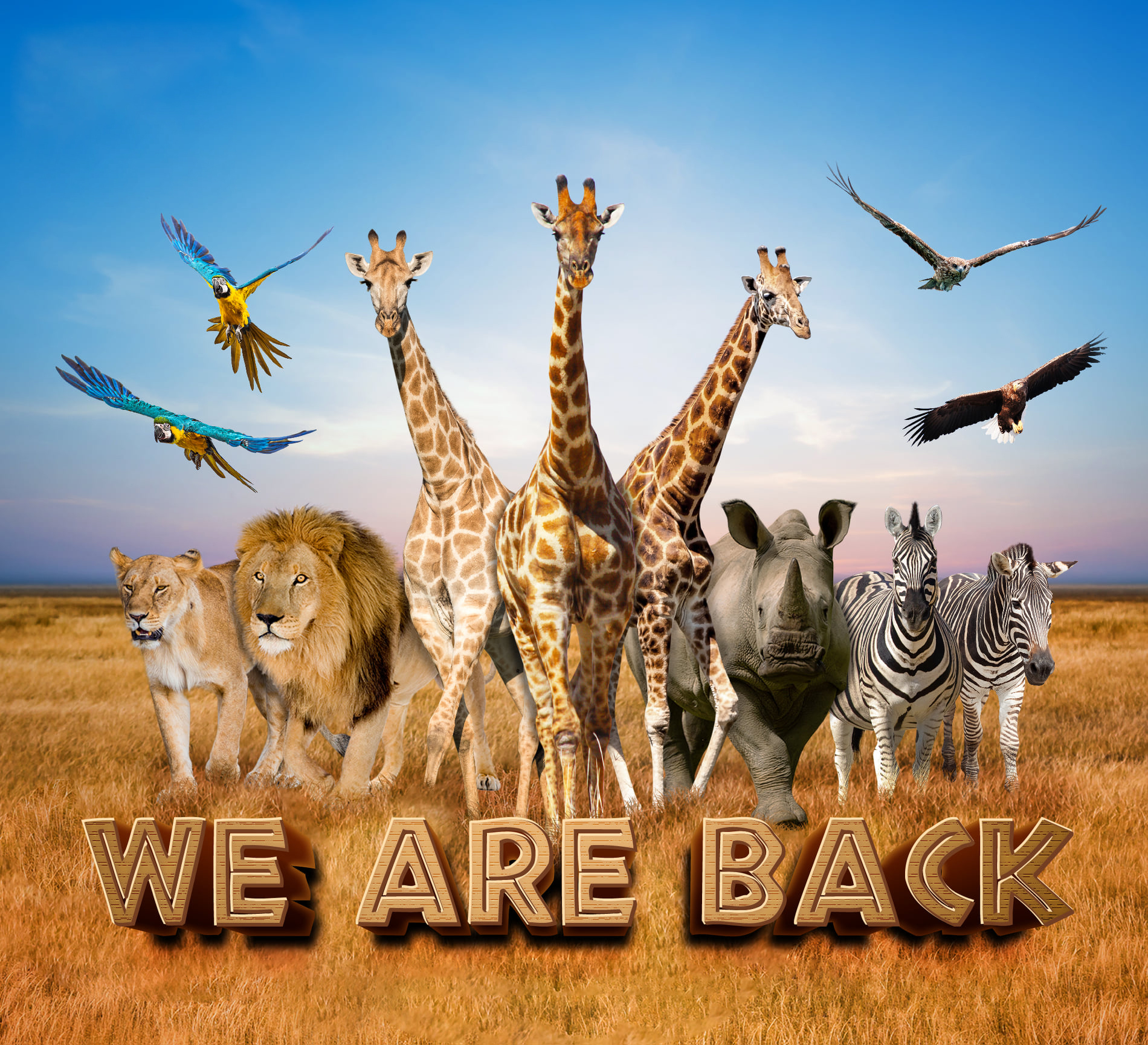 曼谷野生动物世界私人一日游（SST 提供）（曼谷出发）