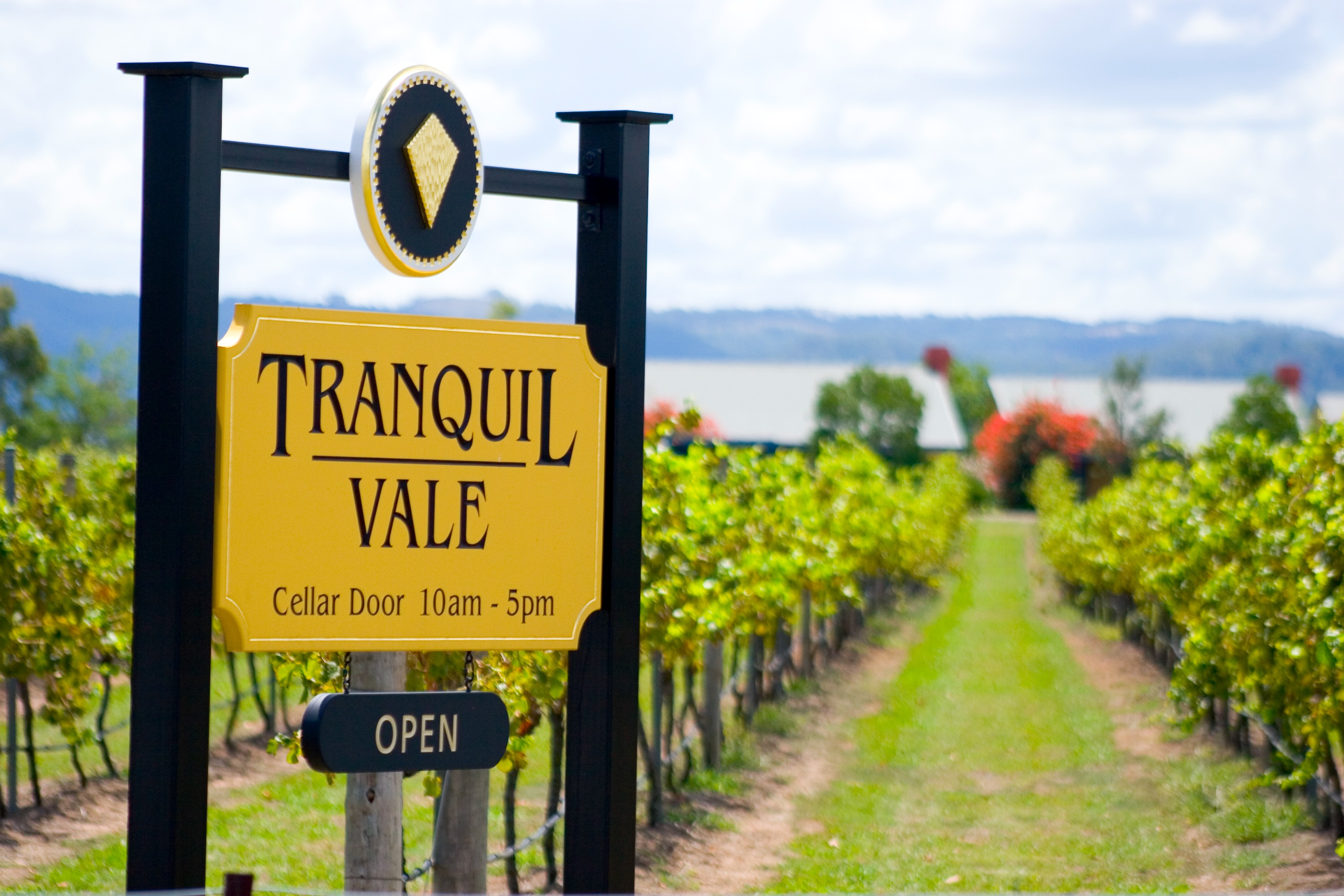 猎人谷 Tranquil Vale Vineyard 葡萄园酒庄品酒之旅