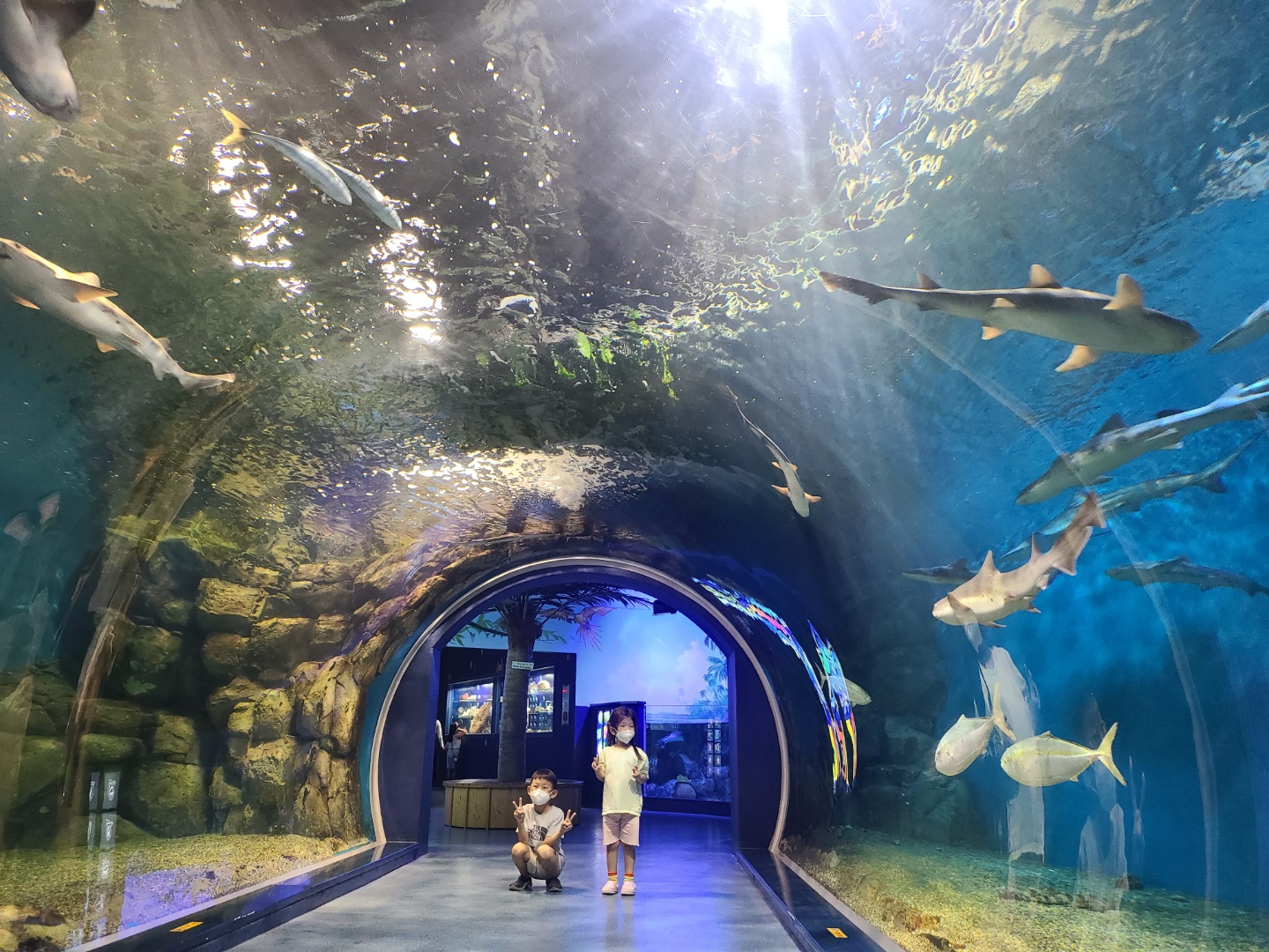 高阳一日游（首尔出发）