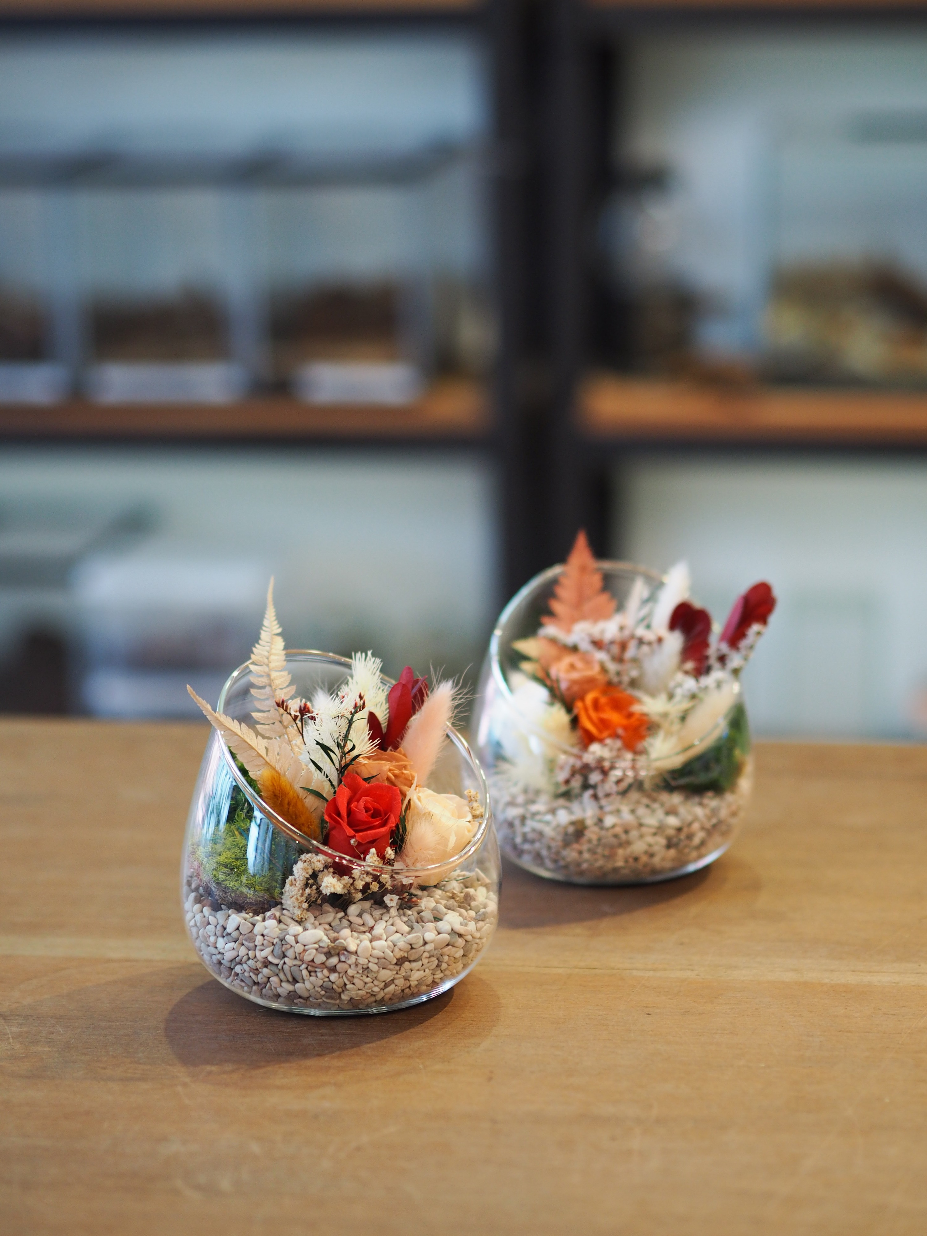 新加坡保鲜花盆栽工作坊（J2 Terrarium）