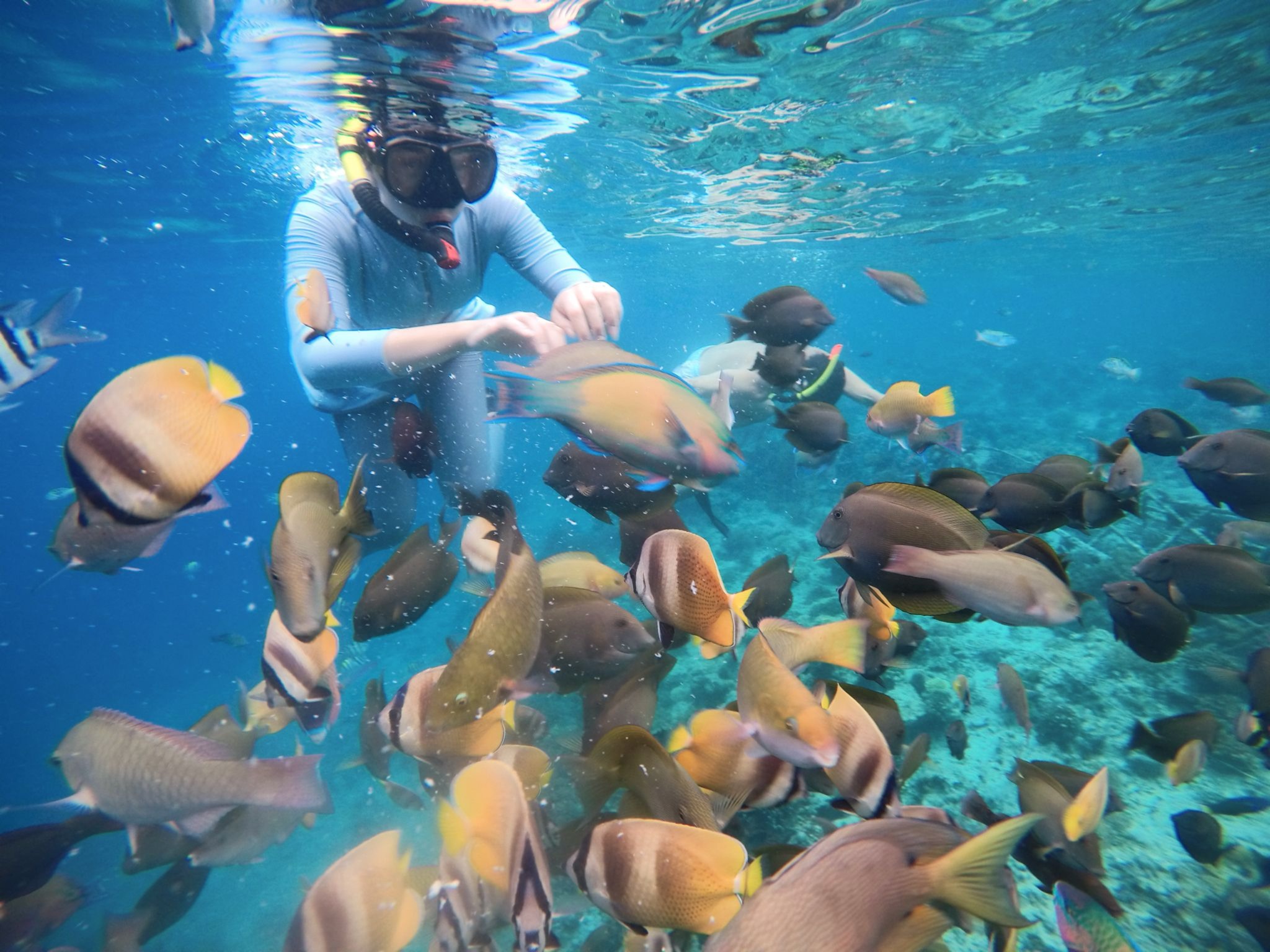 龙目岛 Gili Layar＆Gili Goleng＆Gili Asahan 浮潜一日游