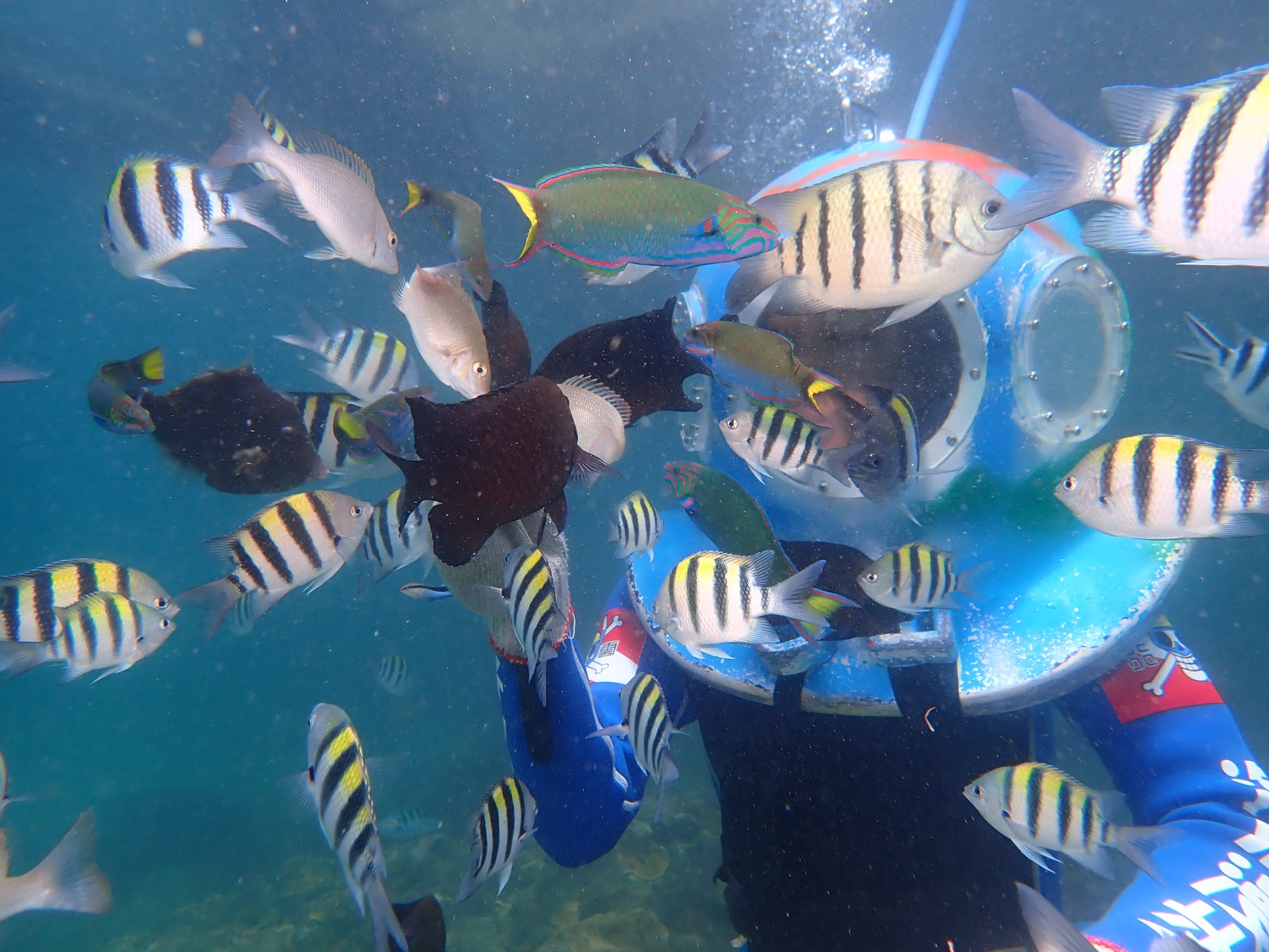 澎湖浮潜: 山水滨海乐园海贼船浮潜&SUP&海底漫步体验