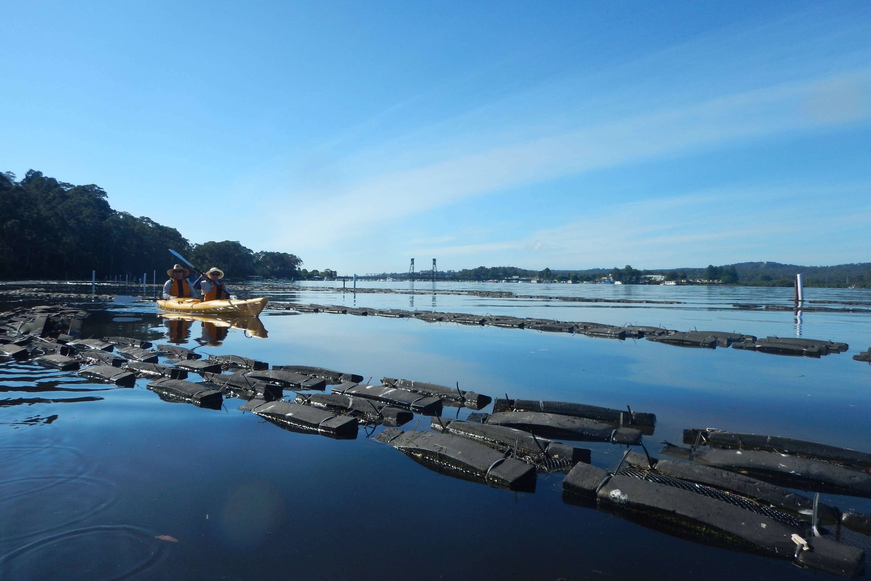 巴特曼斯贝吃生蚝＆独木舟之旅