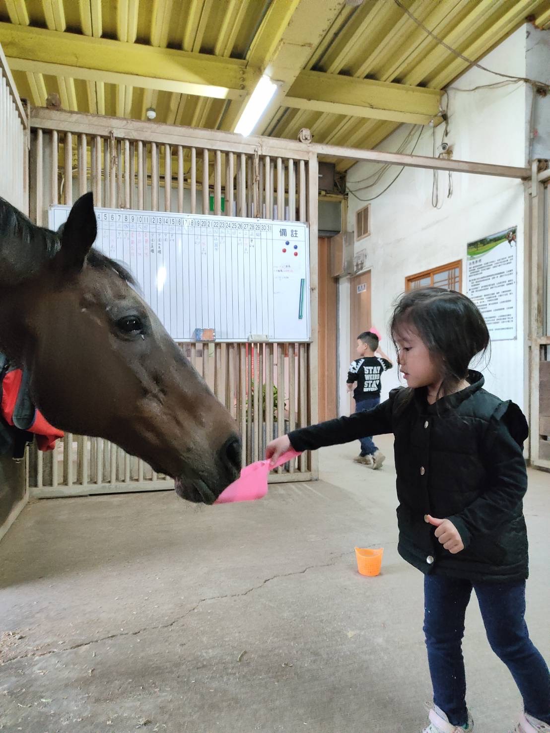 宜兰｜噶马兰马术运动场｜骑马体验｜户外・河畔骑乘