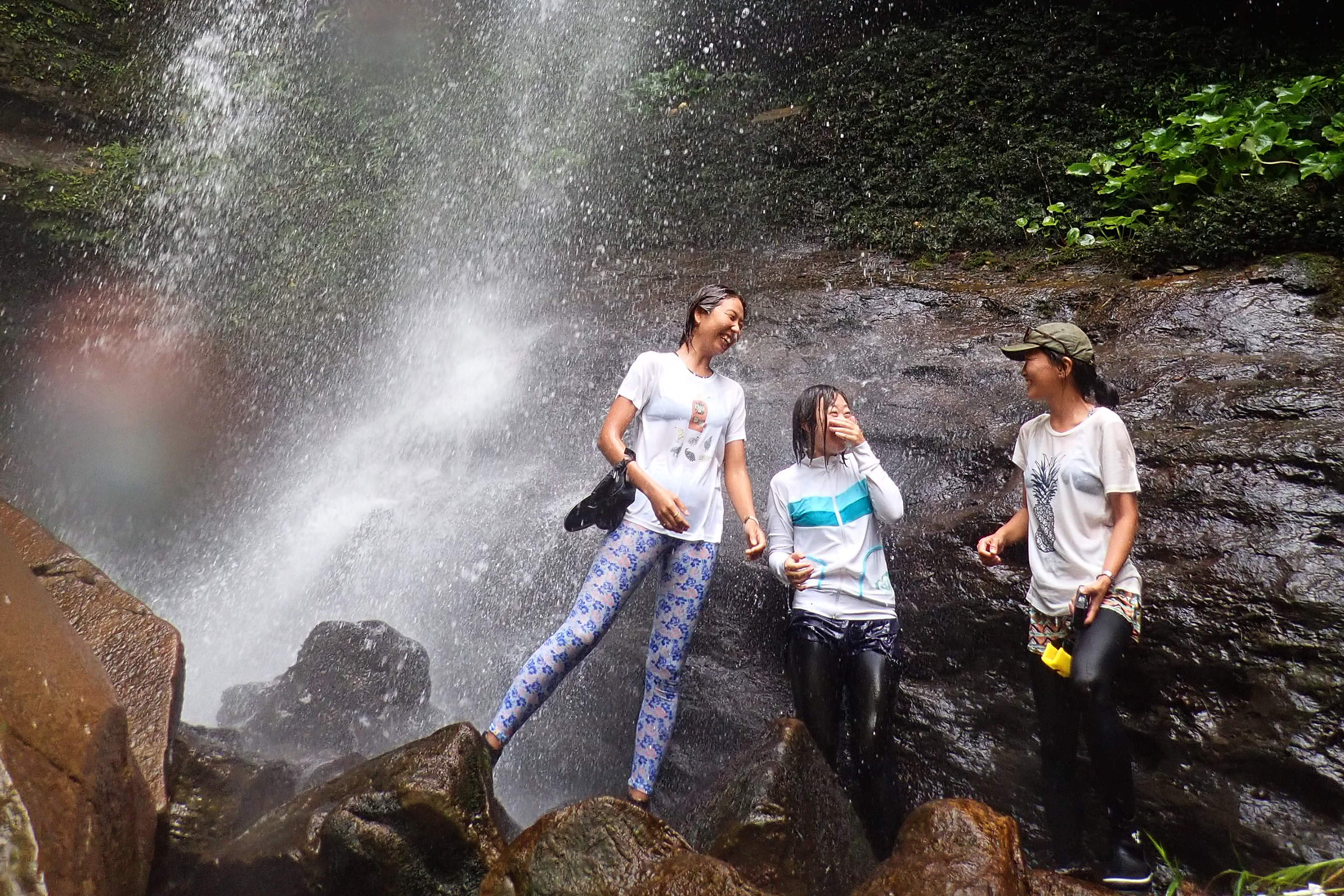 西表岛红树林独木舟＆健行之旅（含野炊）