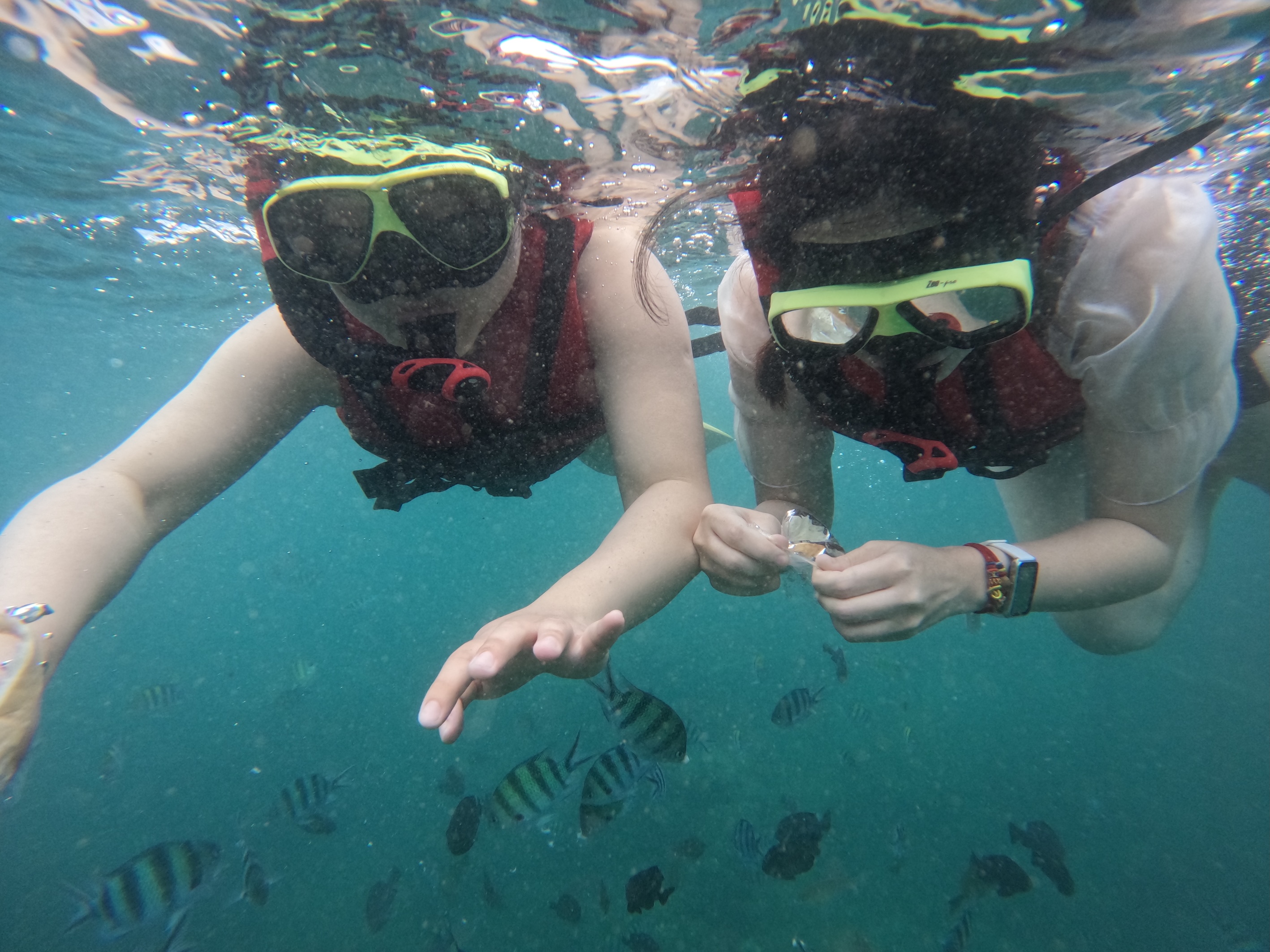 印尼巴厘岛努沙杜瓦浮潜体验