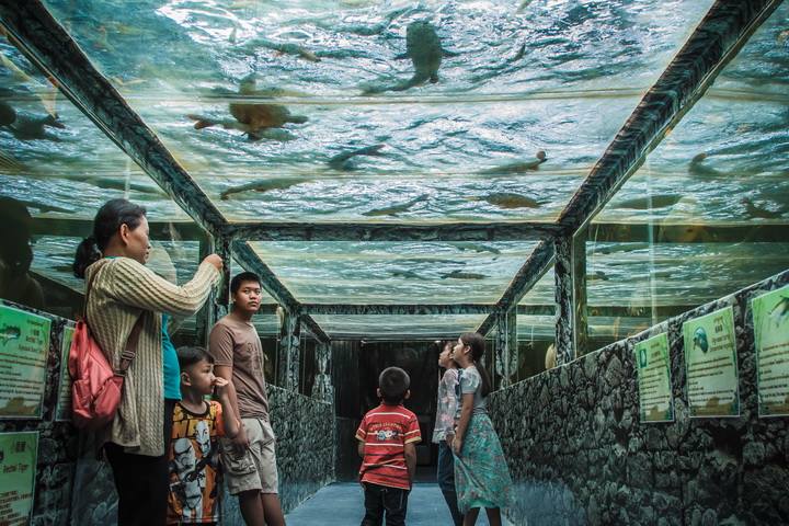 芭提雅怪物水族馆门票