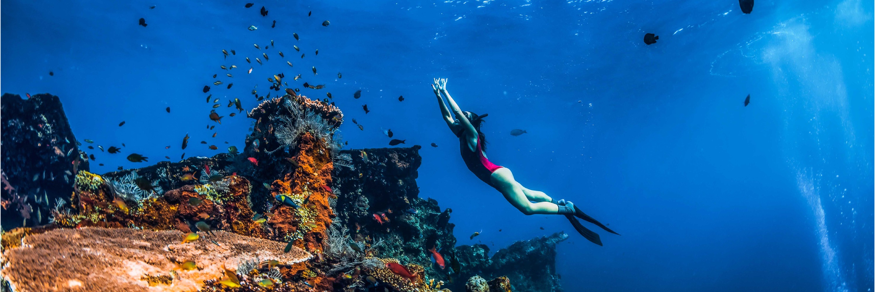 巴厘岛艾湄日本沉船探索 & 维也纳海滩浮潜体验