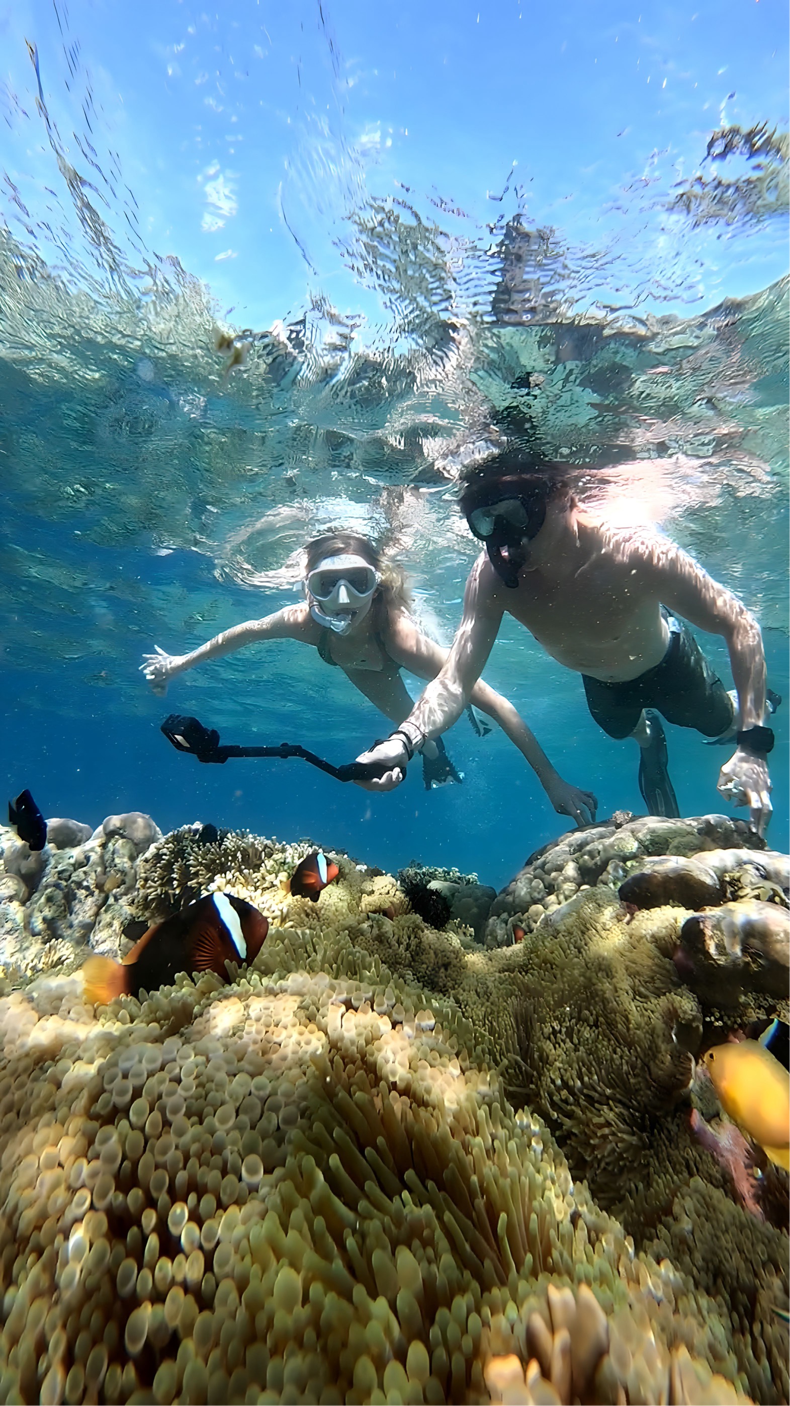 印尼龙目岛Gili Layar & Gili Rengit浮潜体验