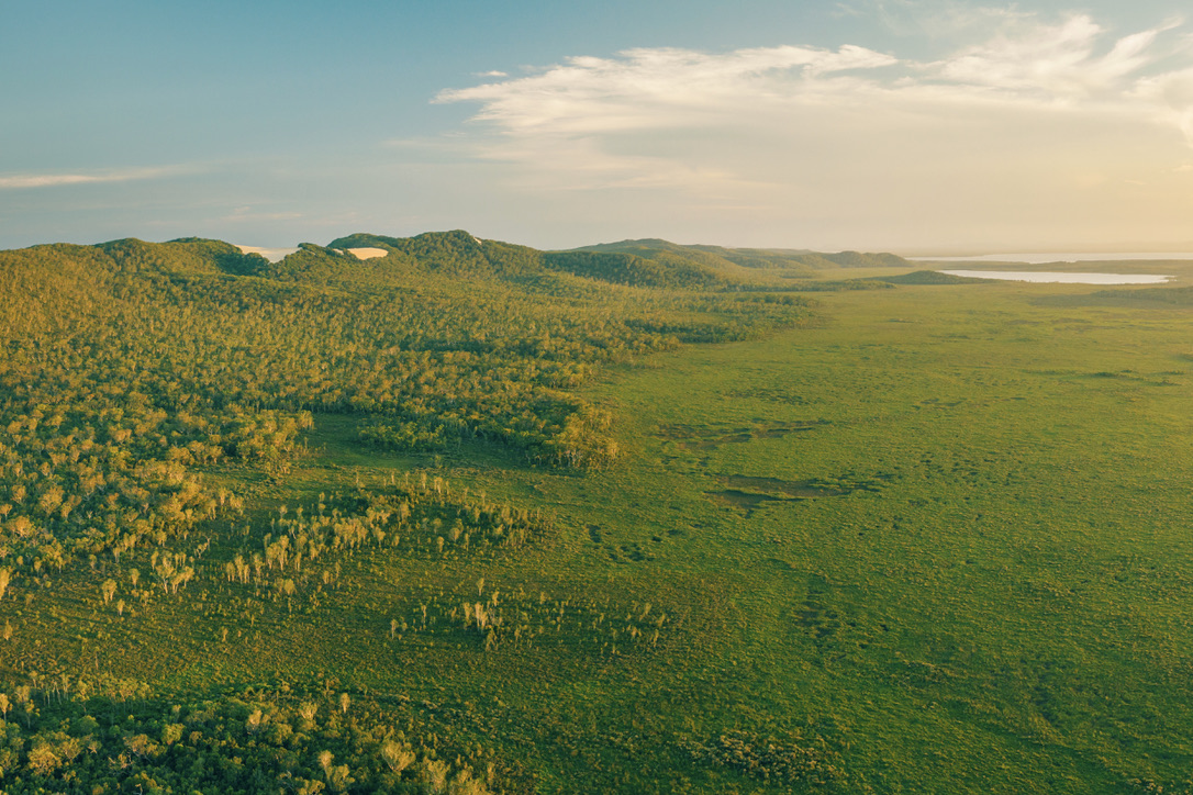 努沙沼泽地 Serenity 游船半日游