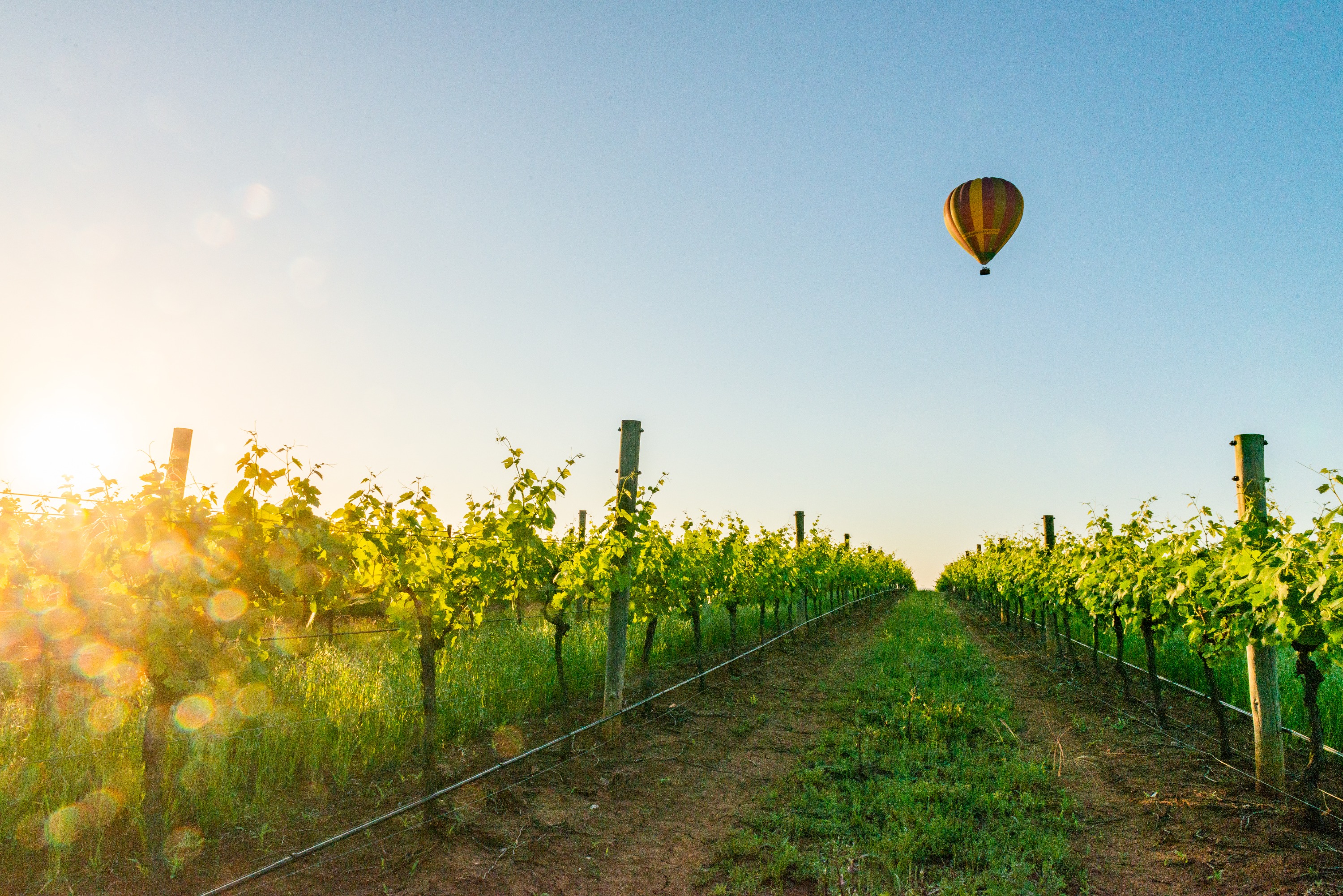 马奇日出热气球体验