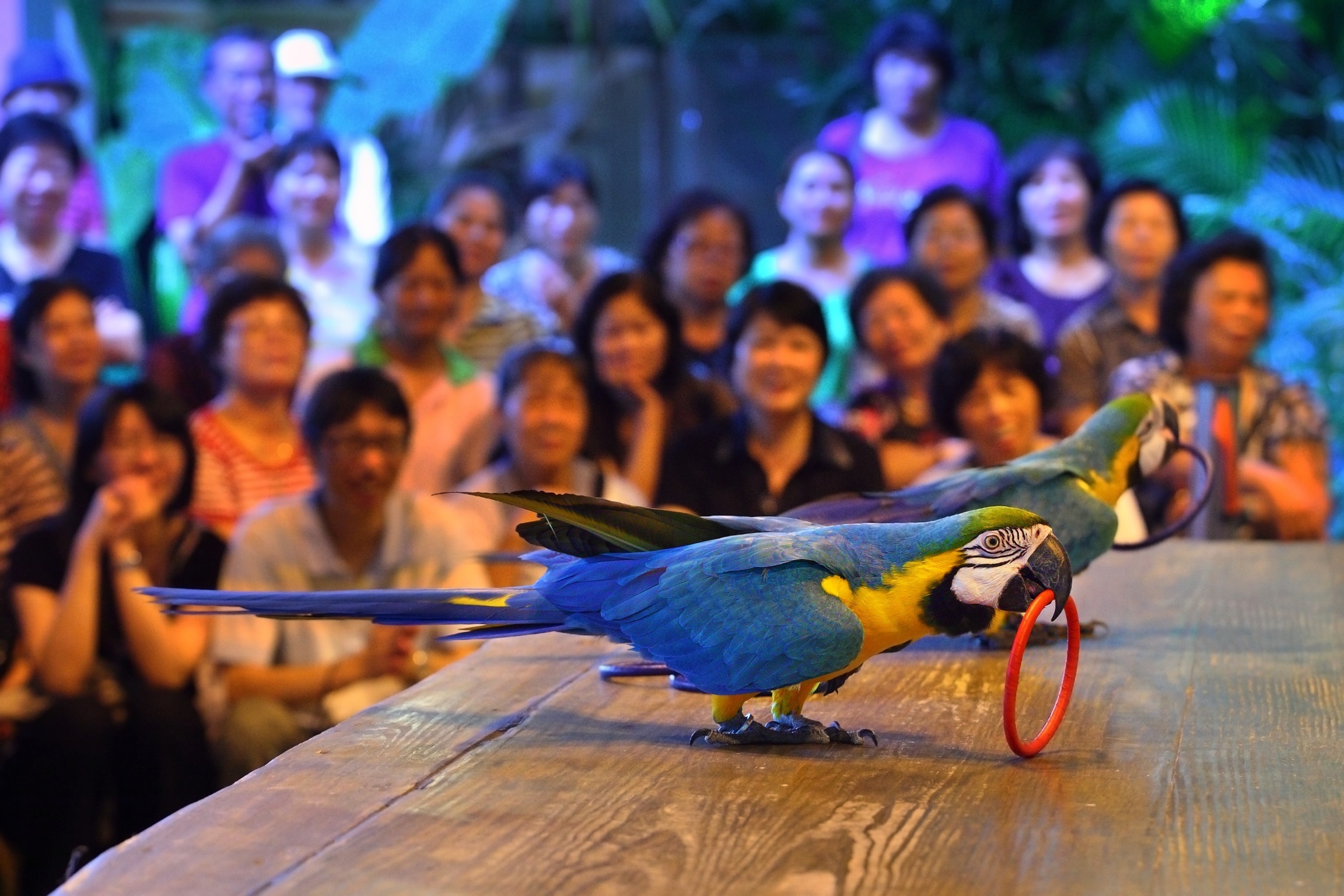 新竹绿世界生态农场门票