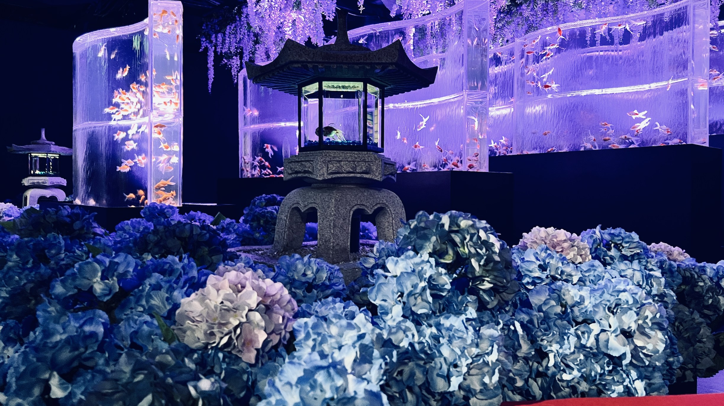 东京银座艺术水族馆门票