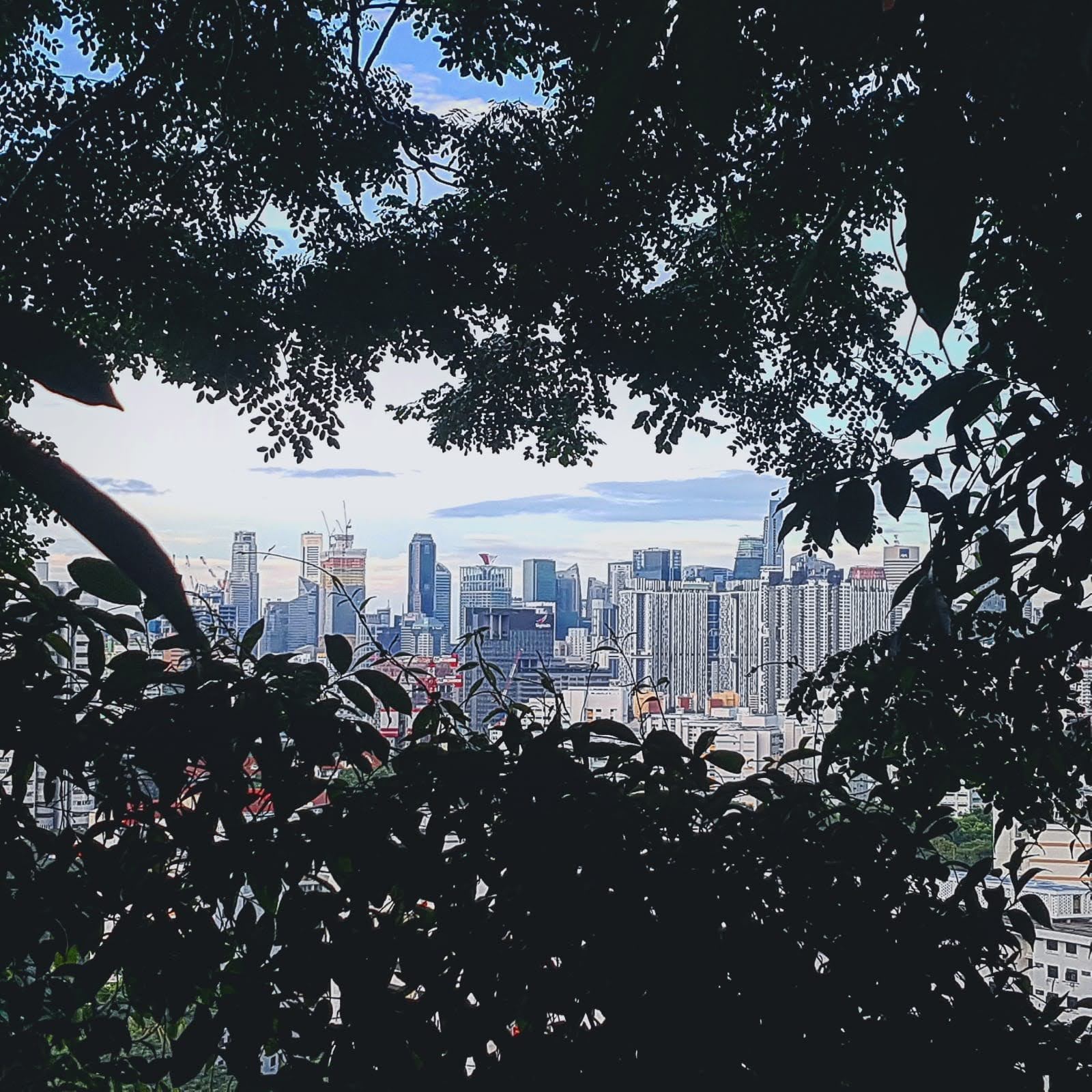 新加坡南部山脊Southern Ridges徒步（X-Trekkers提供）