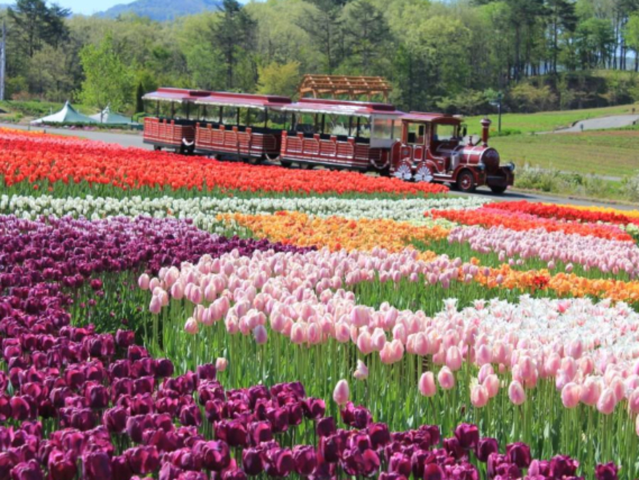 岐阜牧歌之里门票