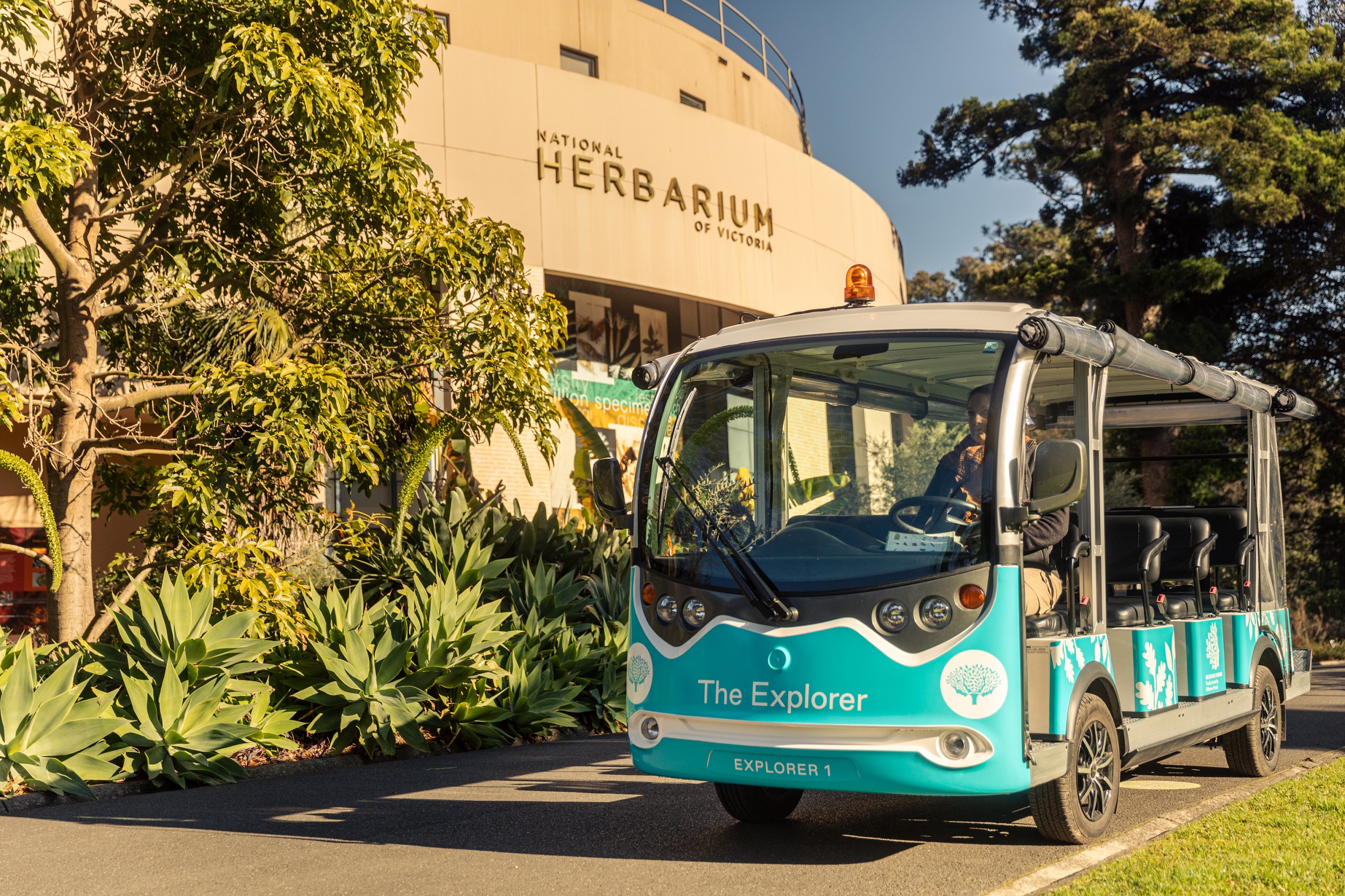 墨尔本皇家植物园之旅