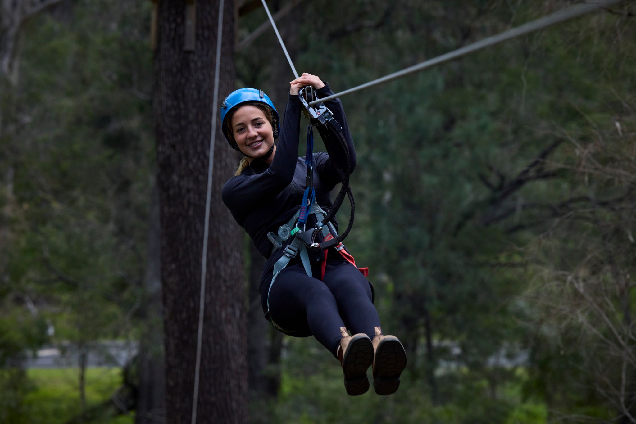 巴瑟尔顿Forest Adventures Park门票