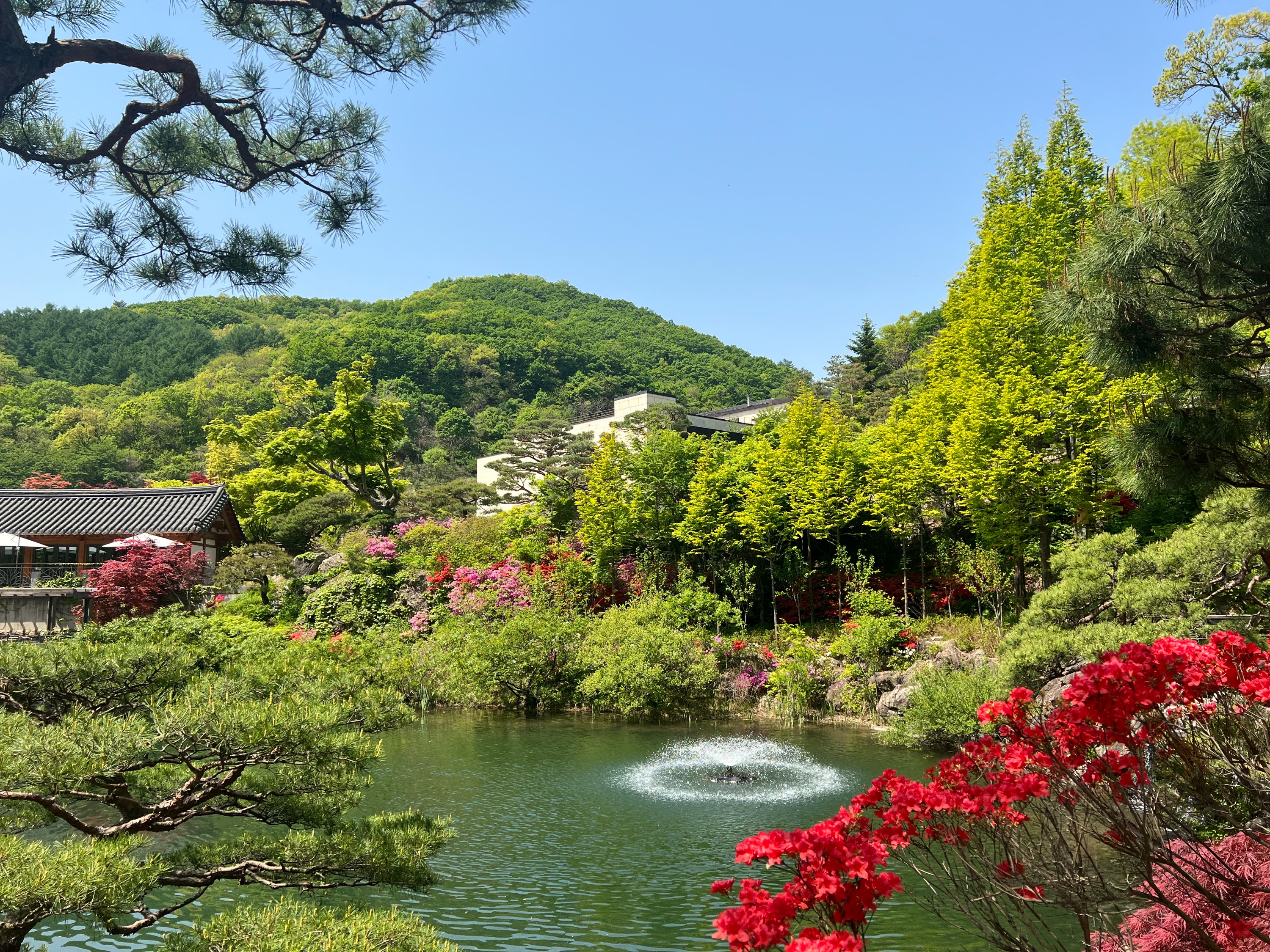 花潭植物园、光明洞窟和韩国民俗村一日游