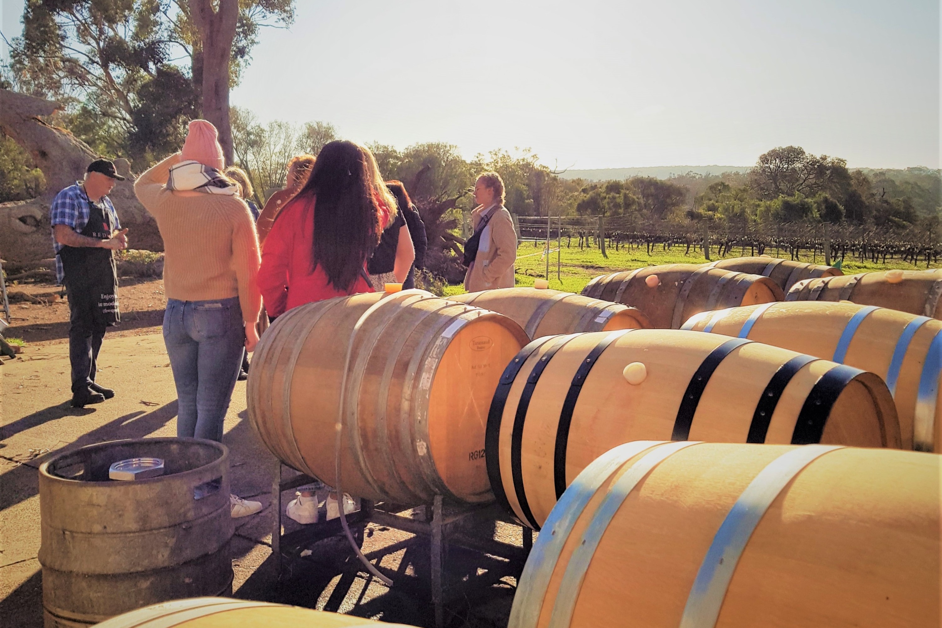 玛格丽特河葡萄酒 & 咖啡 & 森林半日游