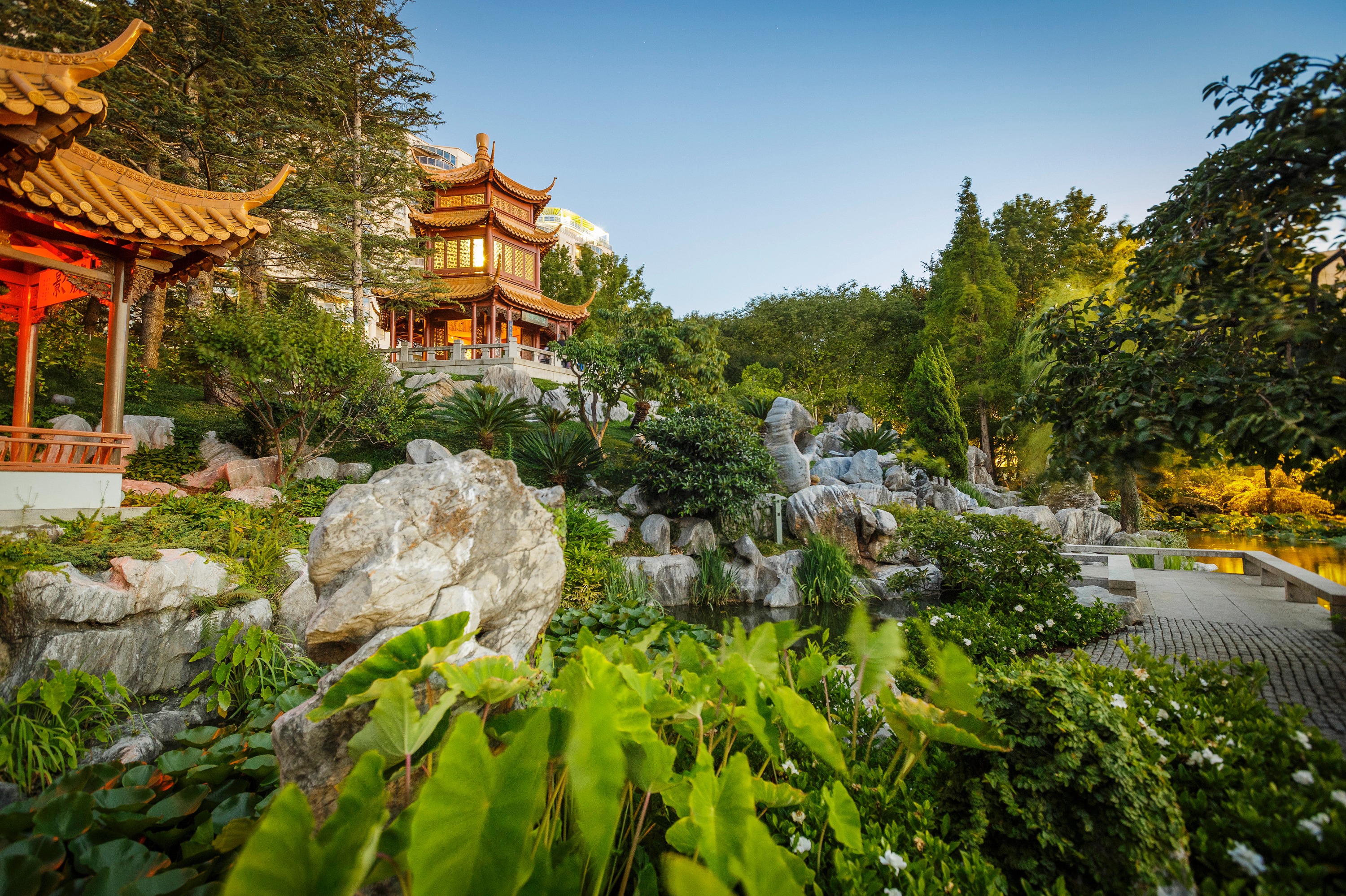 雪梨中国友谊花园门票