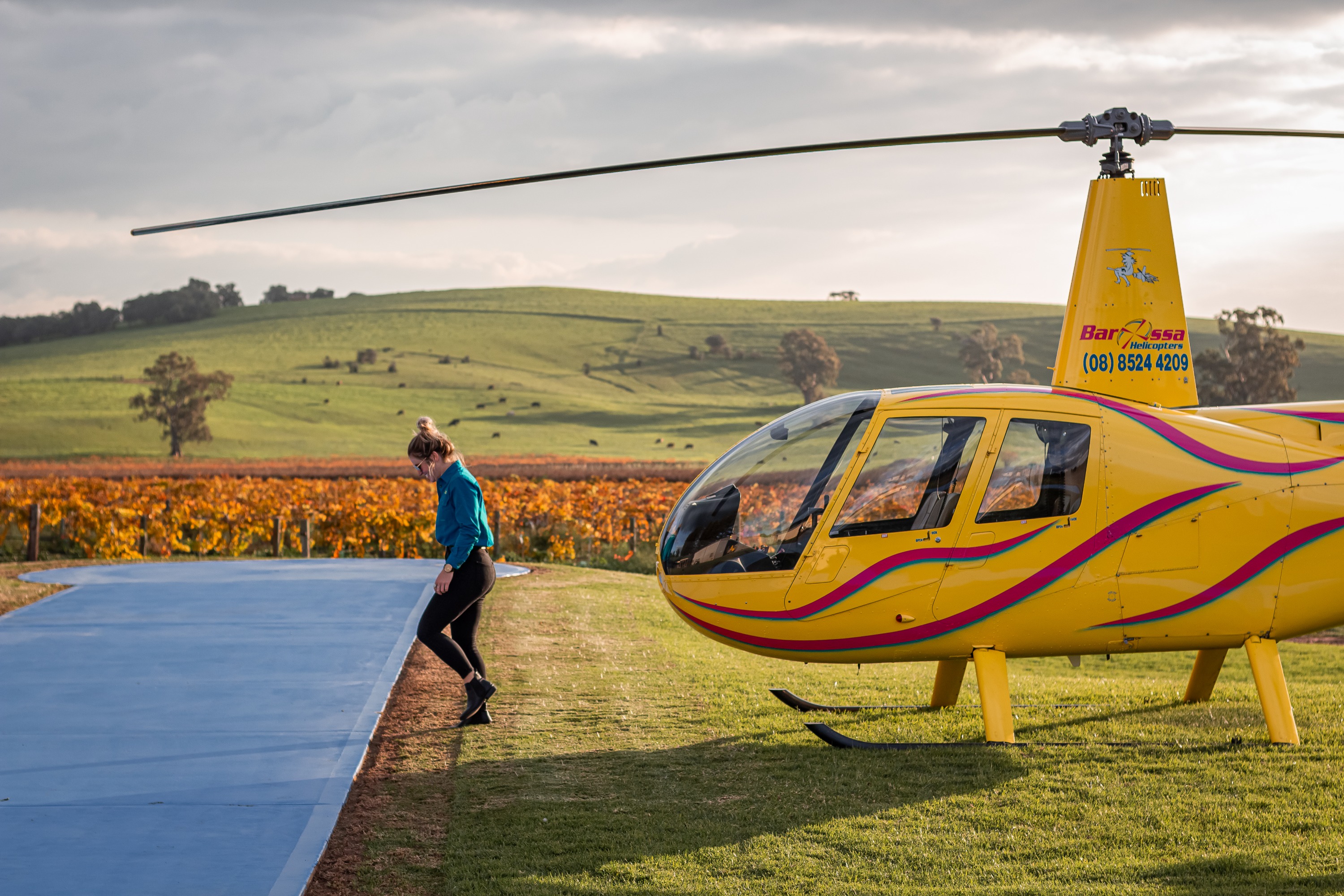 阿得雷德南巴罗沙谷私人直升机景观飞行之旅（Barossa Helicopters 提供）