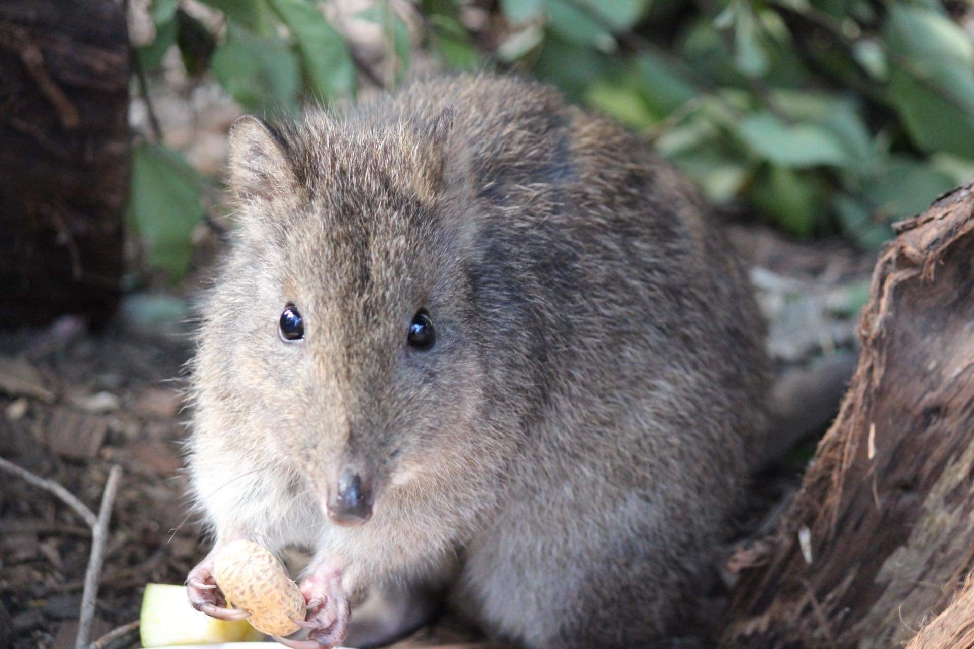 波托鲁宫动物保护区门票