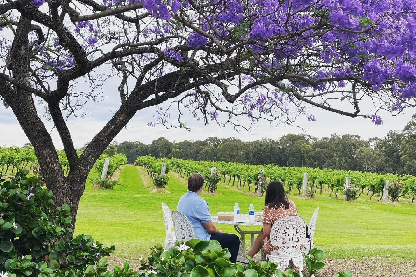 猎人谷 Calais Estate 酒庄品酒体验