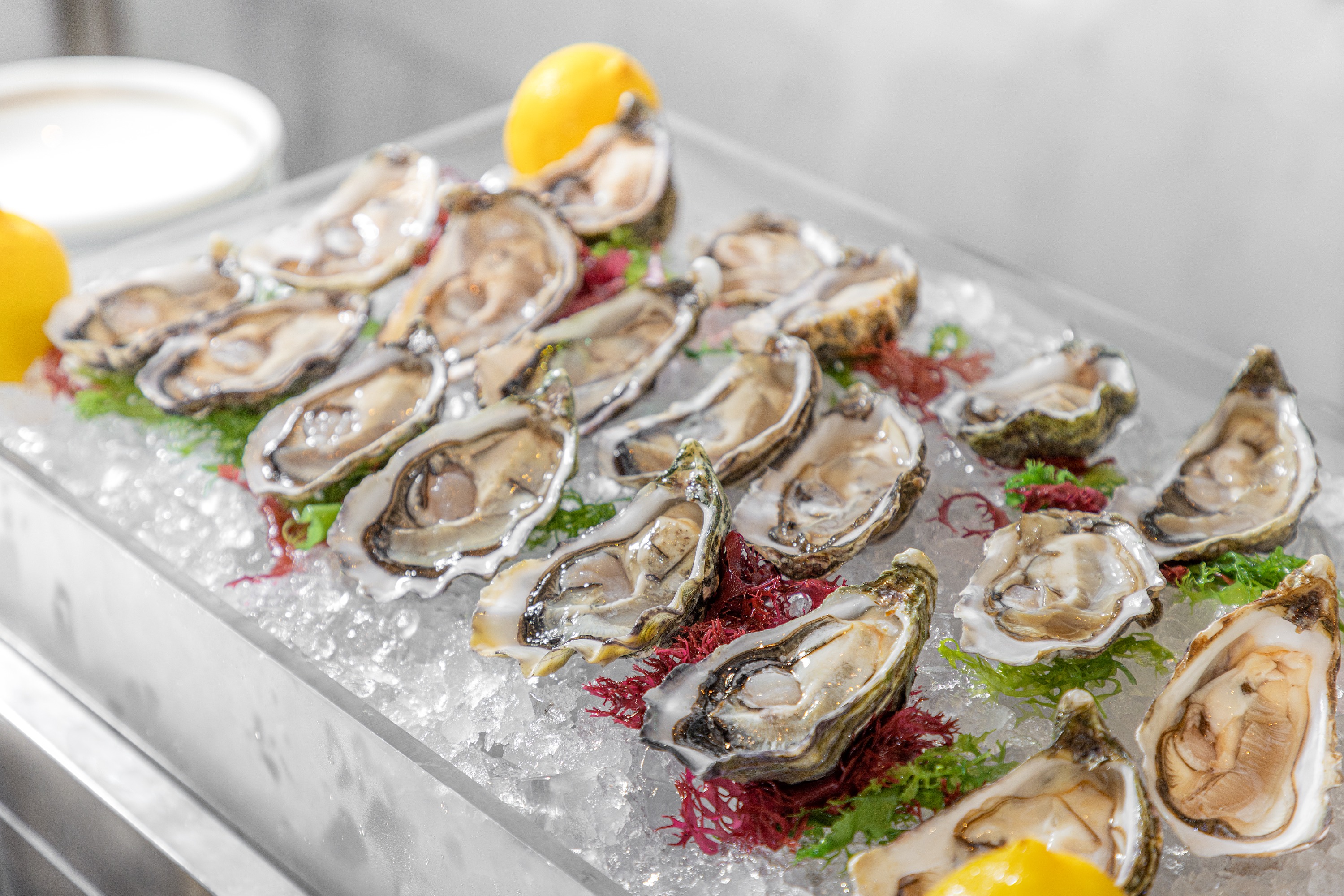 香港美利酒店 The Murray ｜Garden Lounge｜午市套餐、下午茶、半自助晚餐