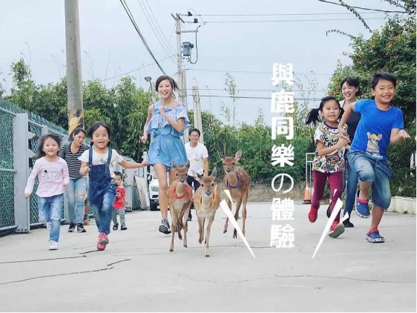 桃园山脚鹿场水鹿之家门票