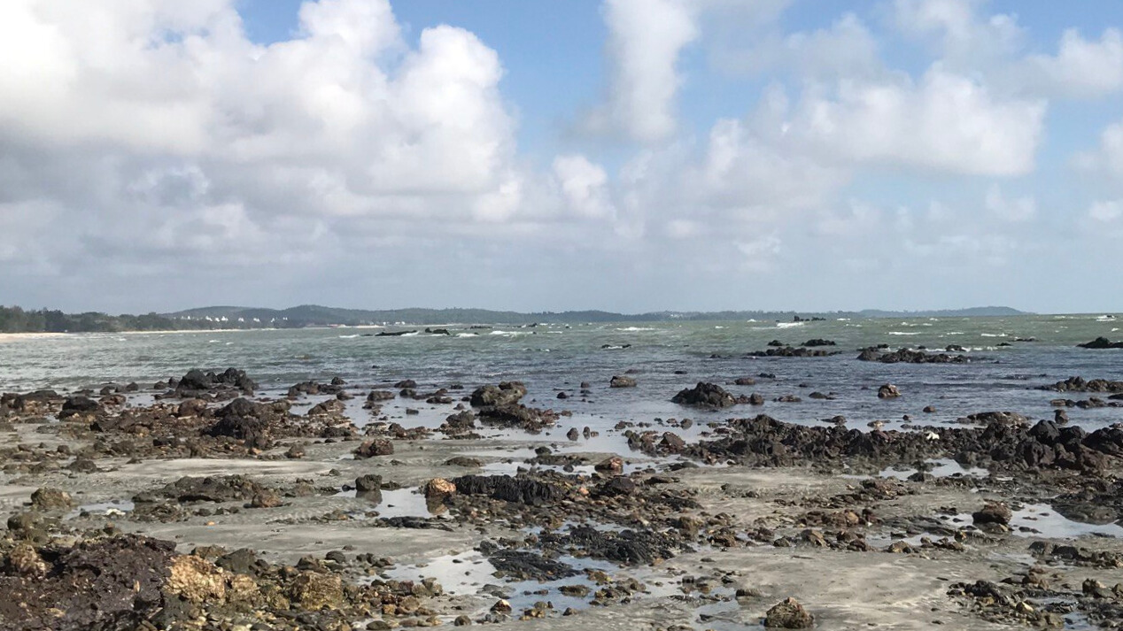 迪沙鲁海滩＆潮池徒步导览