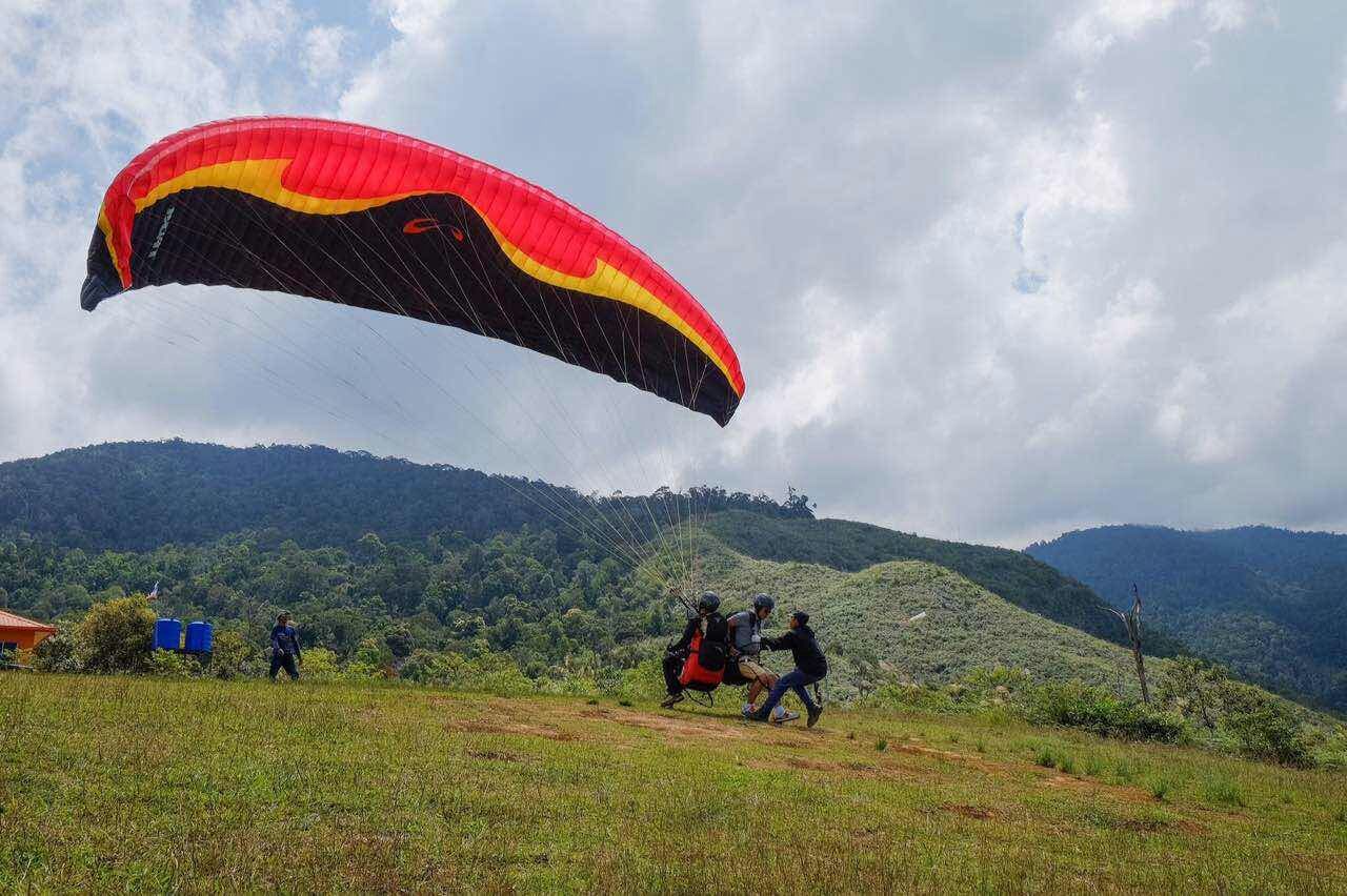 亚庇Lohan滑翔伞 & Desa奶牛牧场 & 野猪肉体验