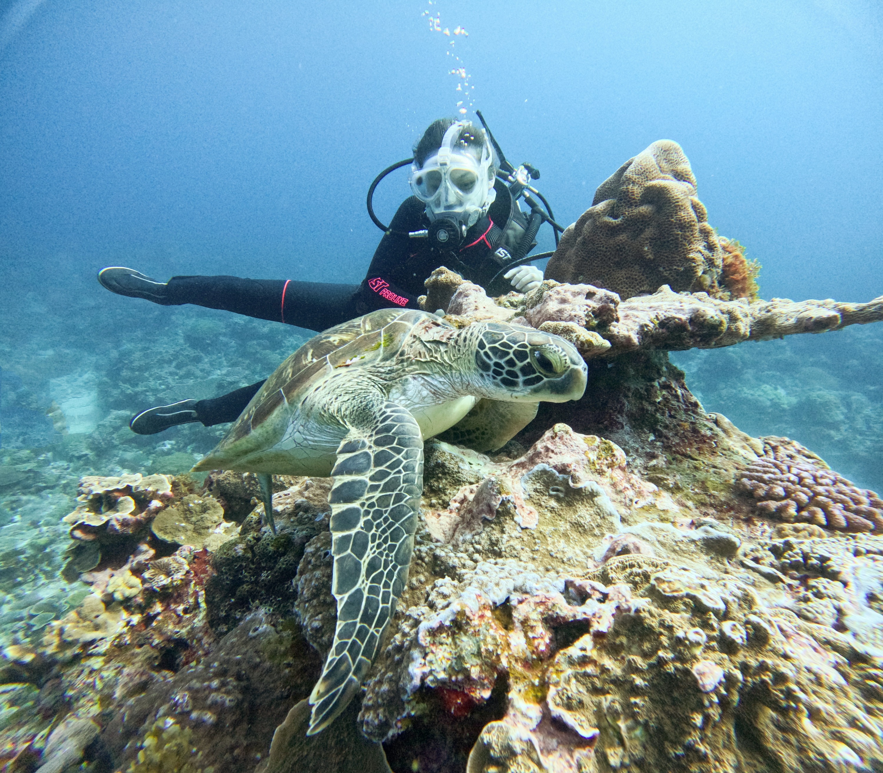 绿岛: 火烧岛 - 潜水 (PADI OW / AOW / 救援Rescue / 自由潜水考照 / 体验潜水 / 旅游潜水