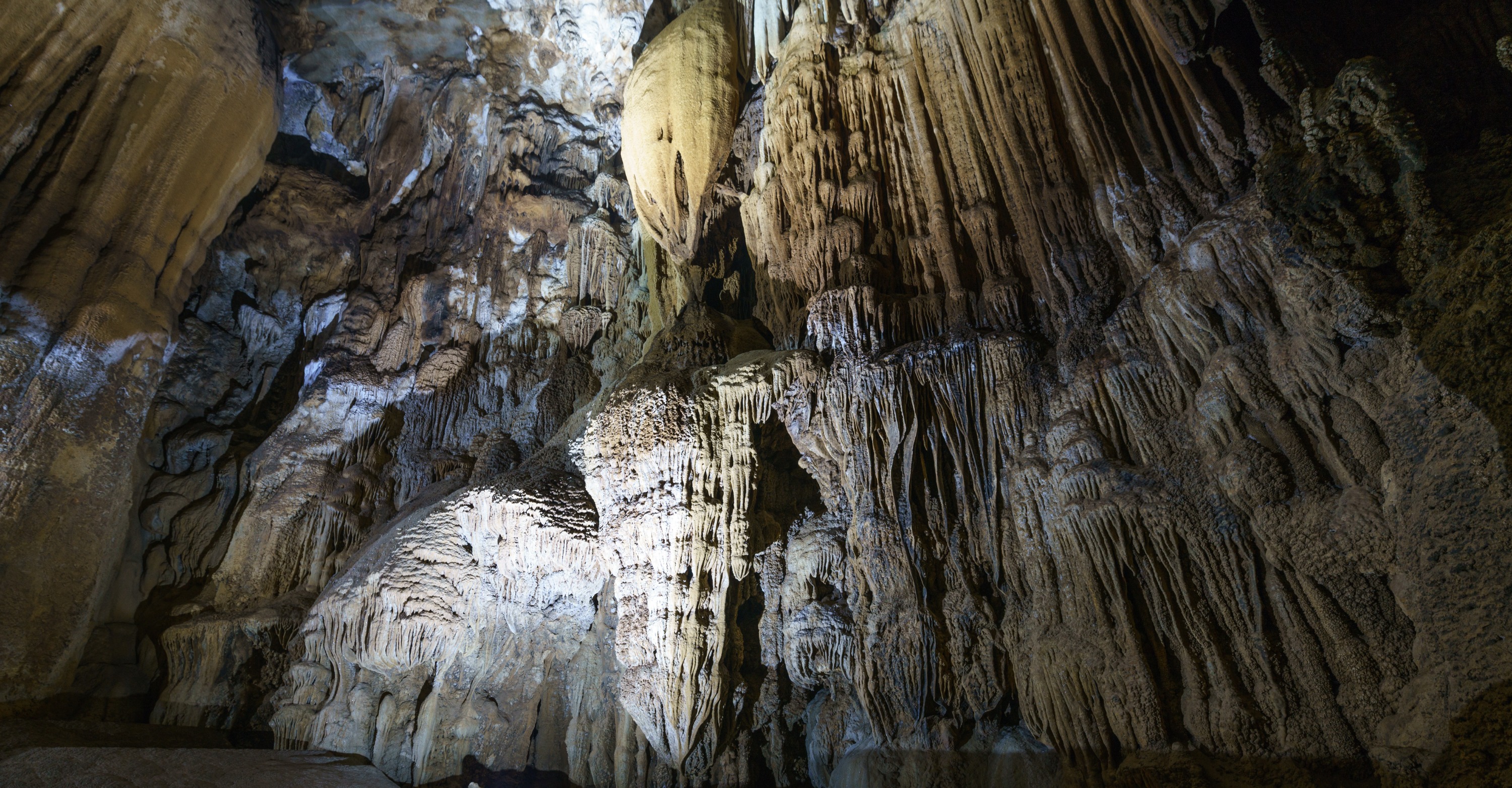 越南象洞＆Ma Da 谷一日健行之旅