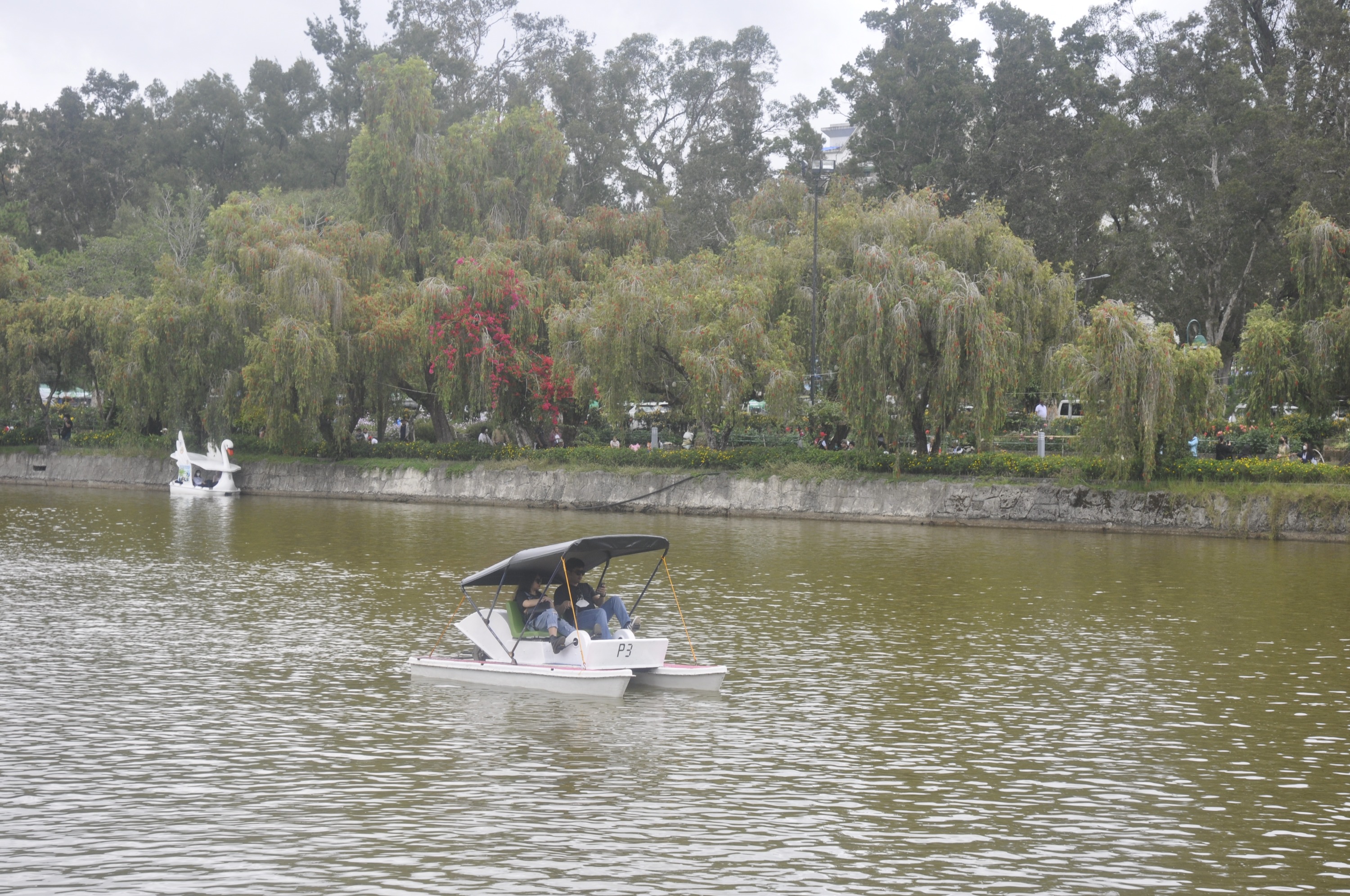 伯纳姆公园步行导览之旅