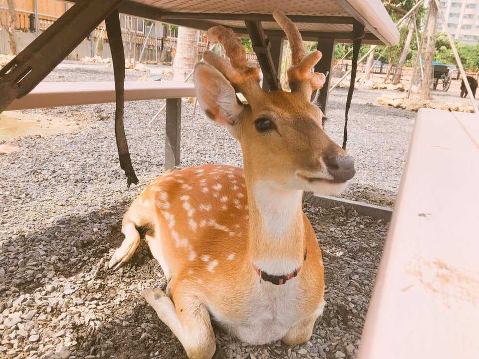 屏东垦丁垦草趣亲子园区门票