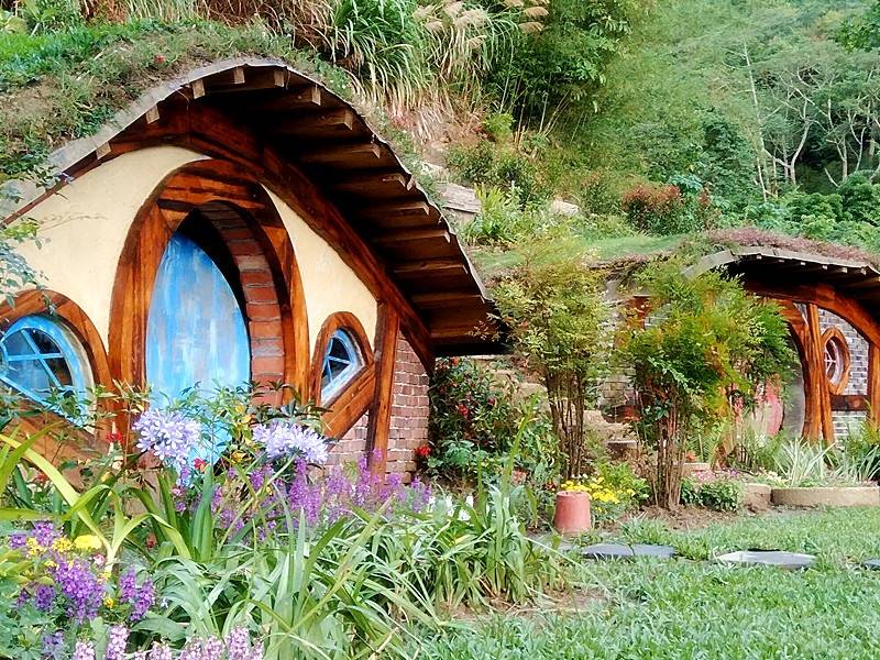 苗栗哈比丘茶树森林门票