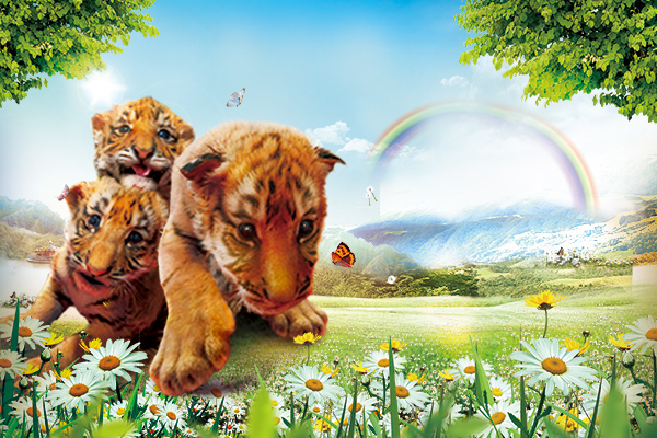 杭州野生动物世界门票