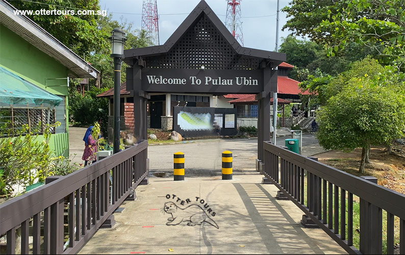 乌敏岛海鲜午餐＆丹戎赤贾瓦之旅