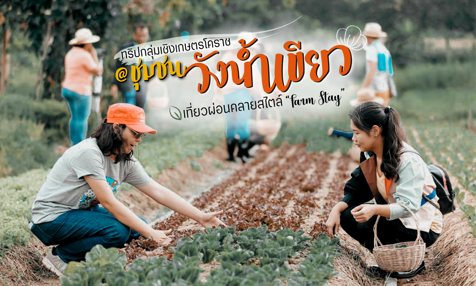 2天1夜 旺南胶在地农业观光社区之旅