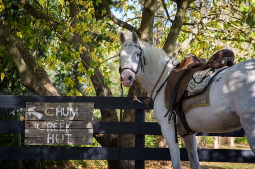 亚拉河谷骑马 & 品酒体验