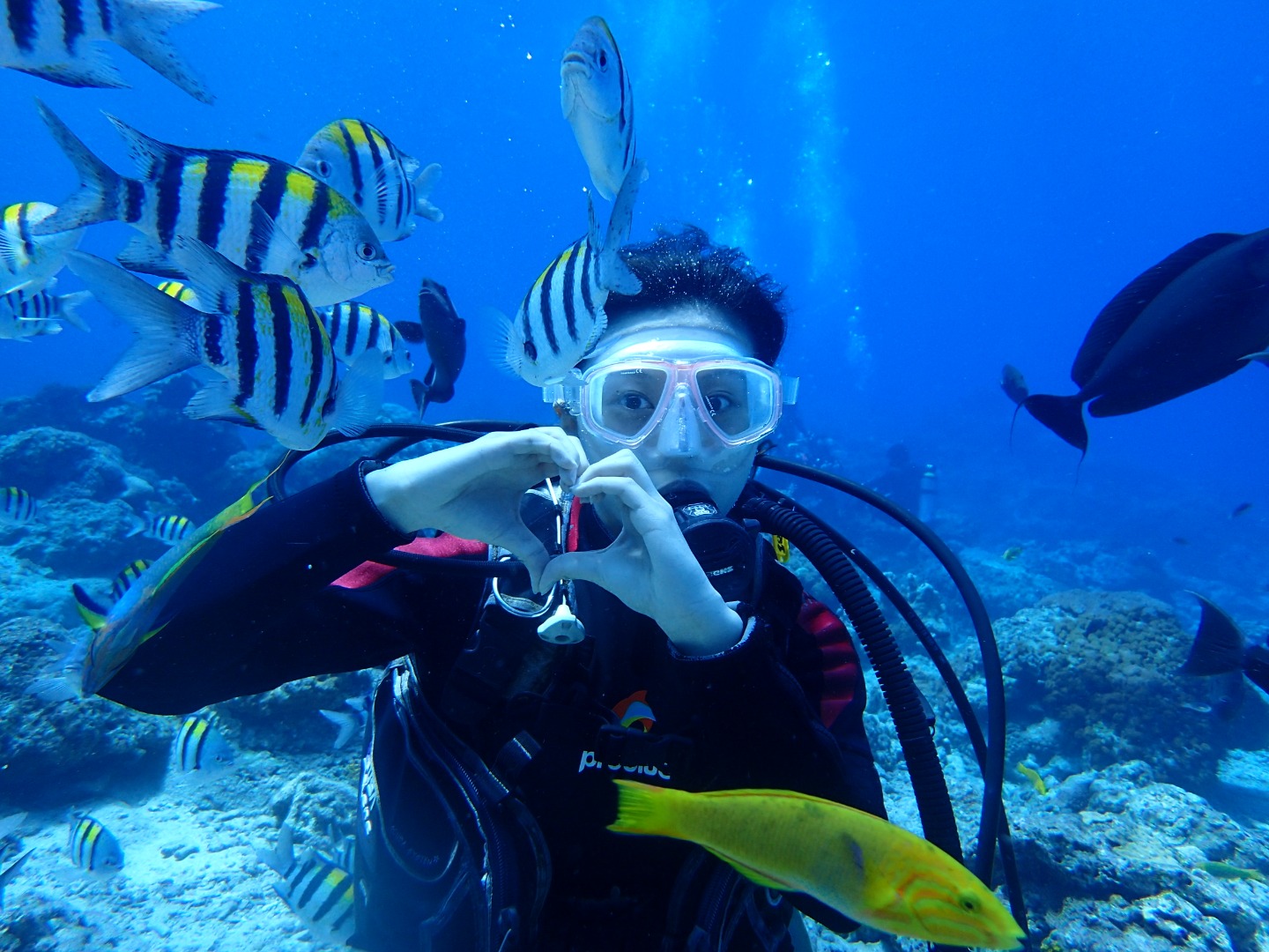 绿岛潜水｜绿岛蓝莎潜水中心｜一对一深潜体验・含潜点往返接送