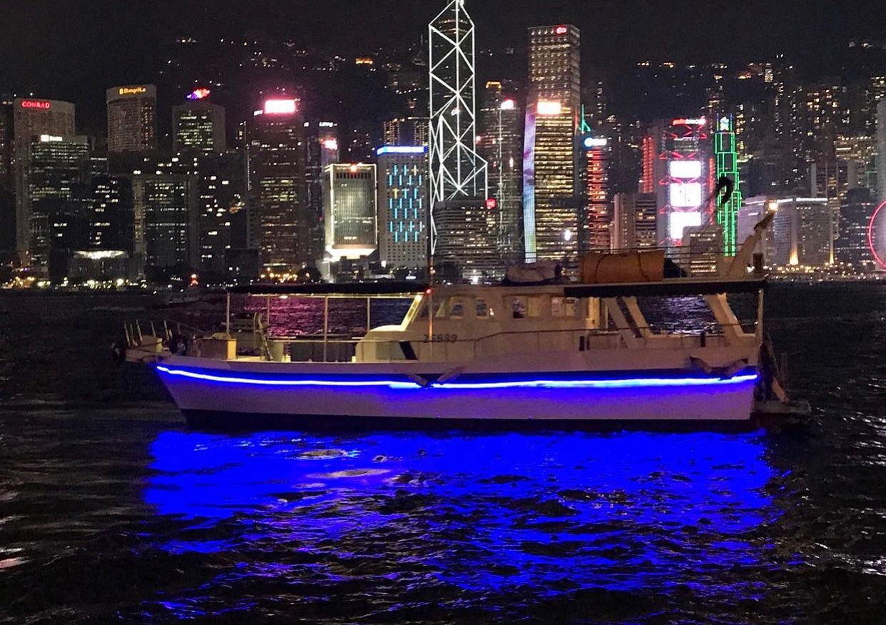 维港夜钓墨鱼体验