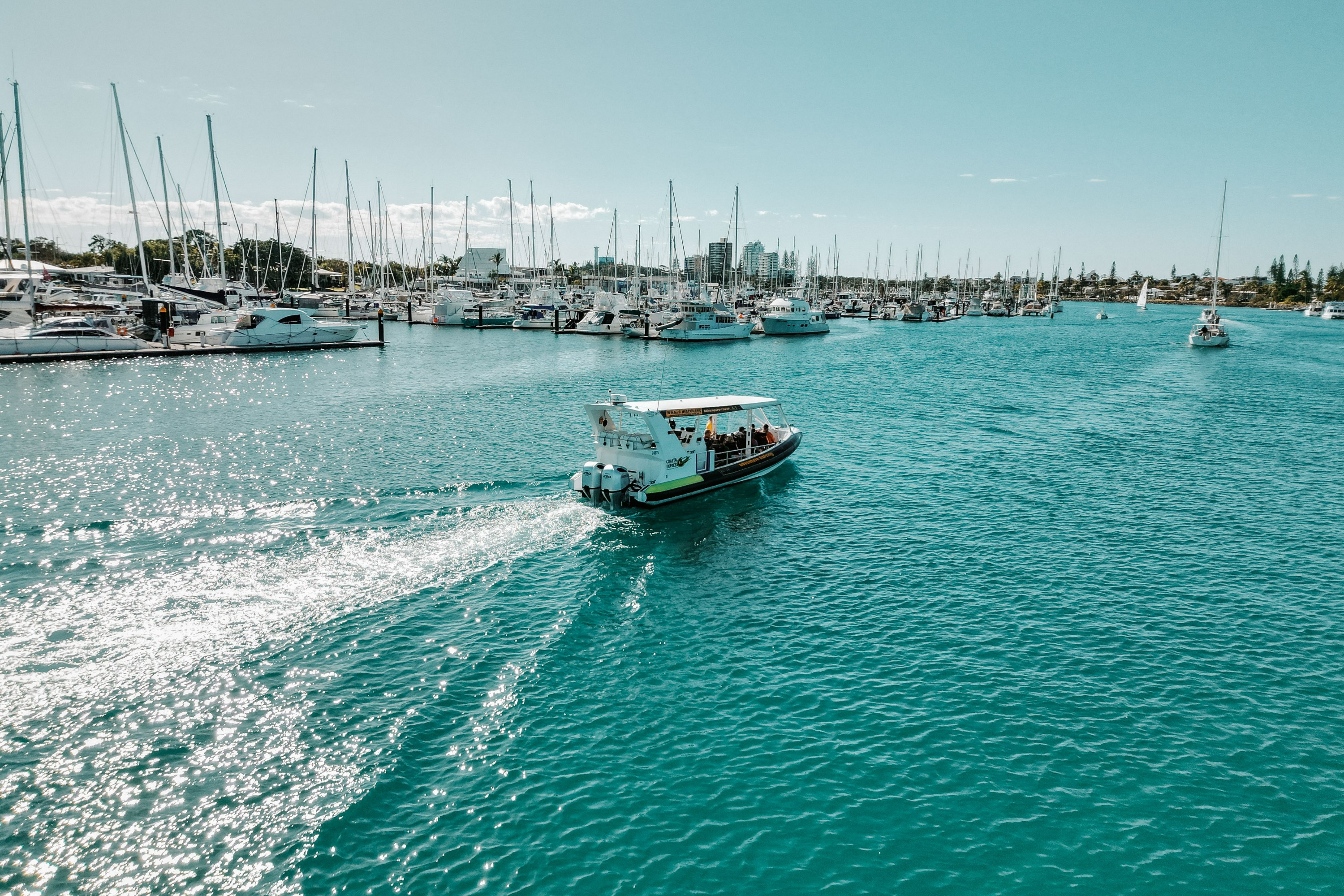 莫洛拉巴海滨激流泛舟体验＆赏海龟之旅