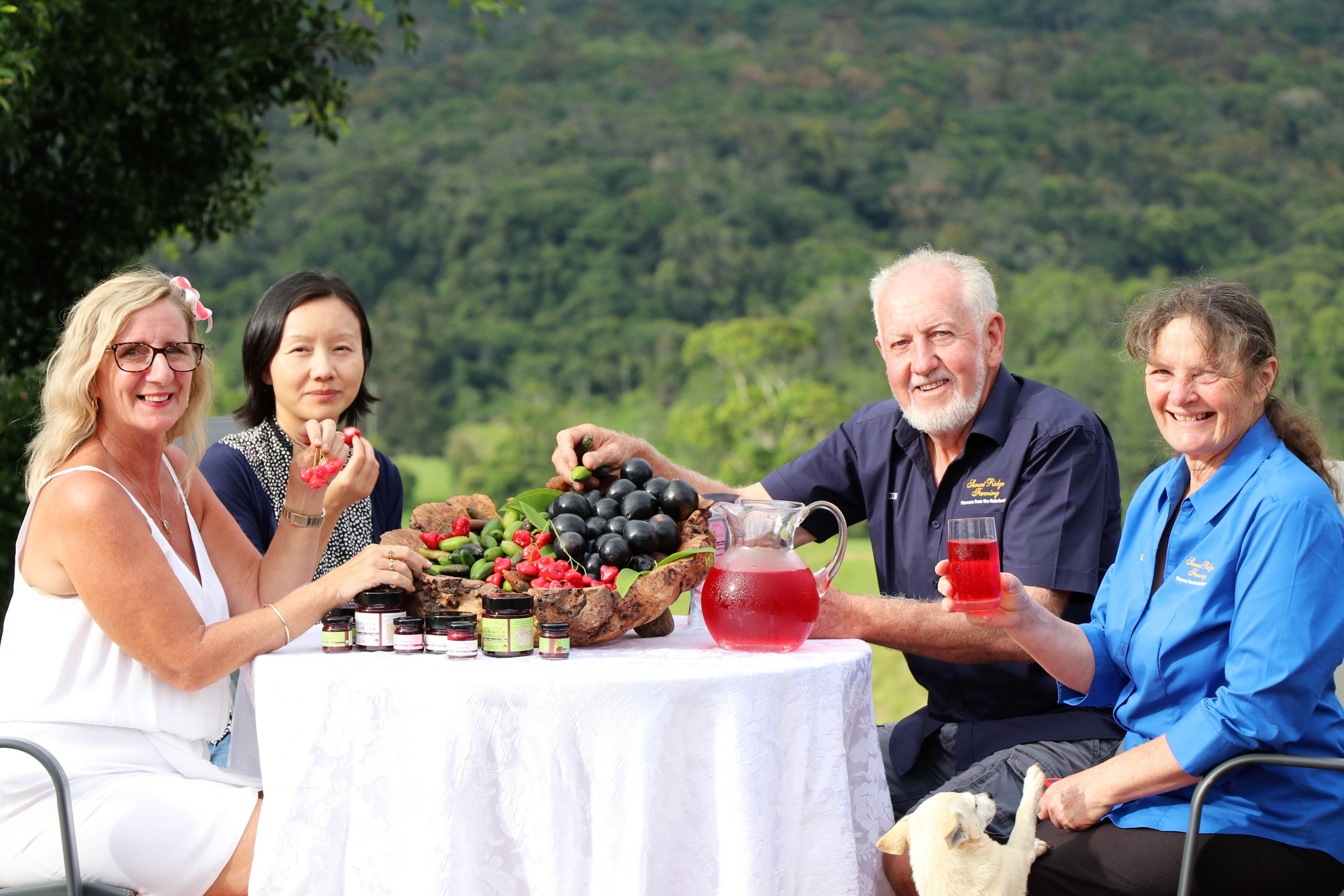 澳洲内陆探索之旅（凯恩斯＆道格拉斯港出发）
