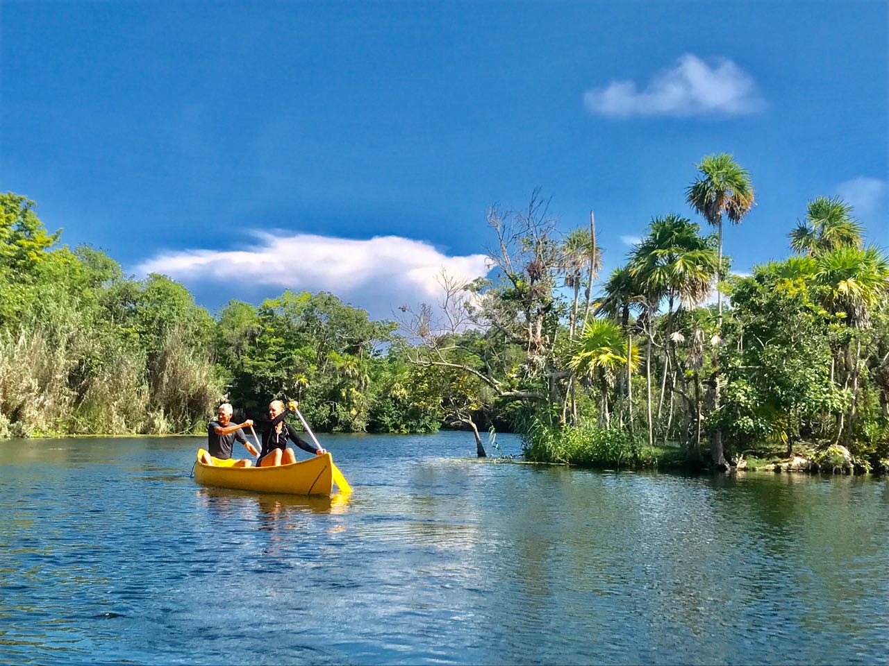 从图卢姆出发，探索图卢姆遗址和坦卡丛林探险之旅