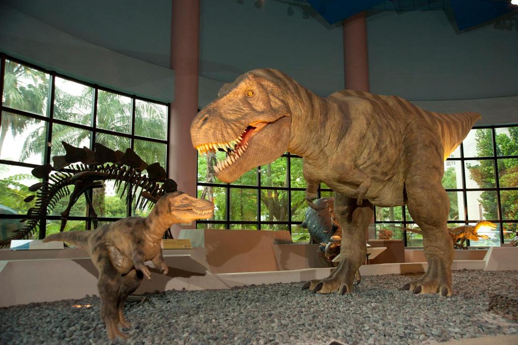 台中国立自然科学博物馆门票