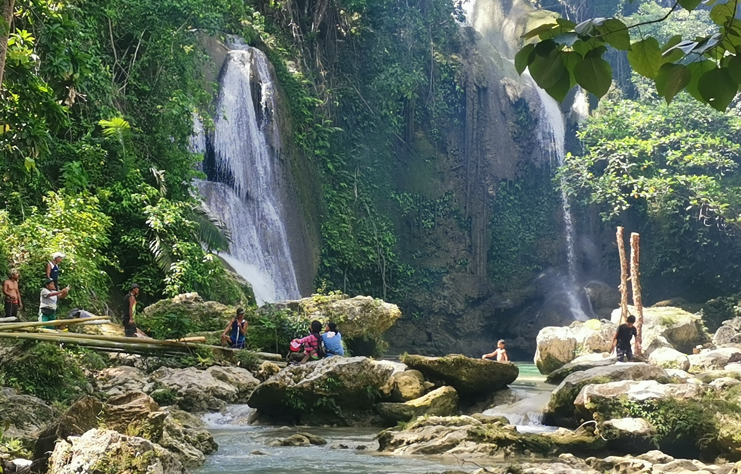 薄荷岛鲸鲨同游互动 & Pahangog双子瀑布一日游