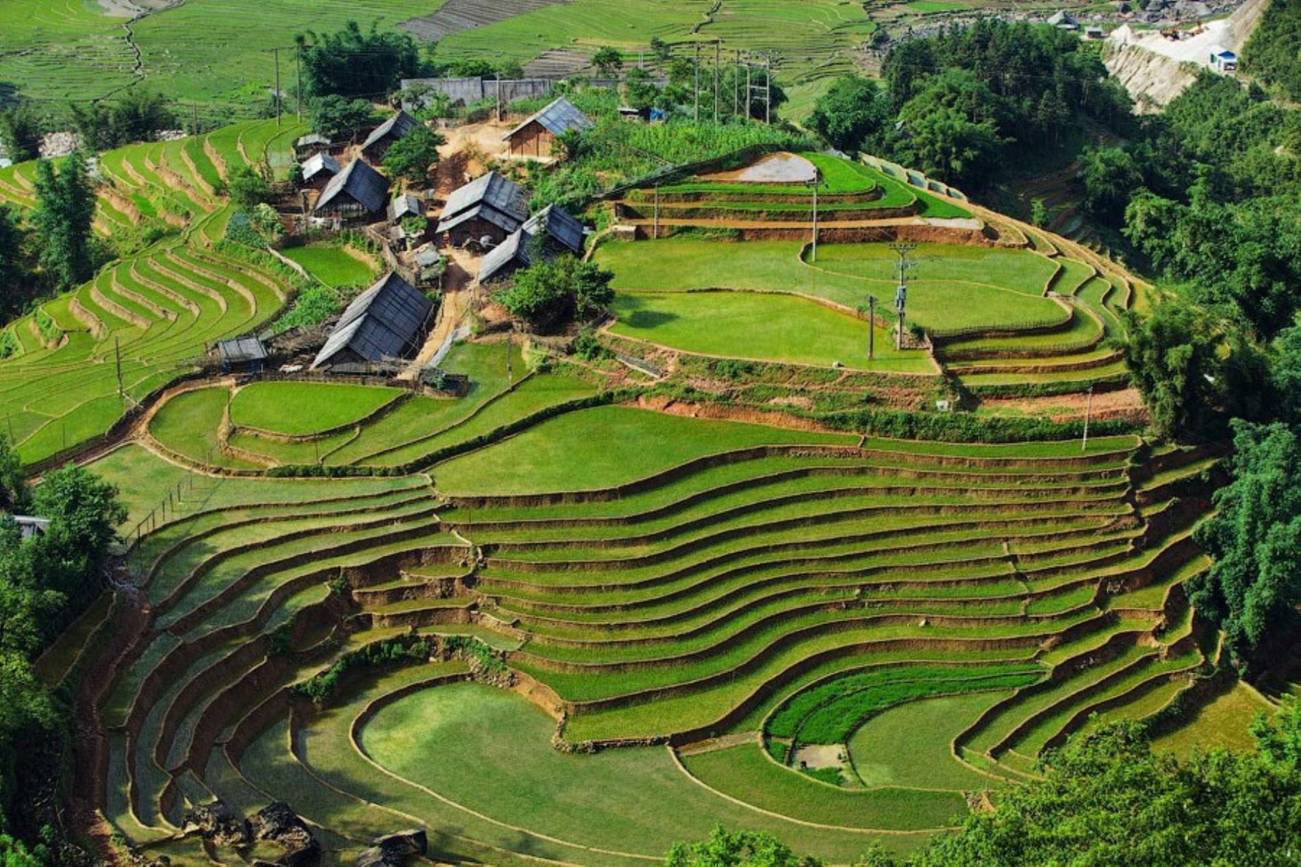 2天1夜沙巴徒步之旅（包含住宿）（2D1N Sapa Trekking Tour from Ha Noi (Accommodation Included)）